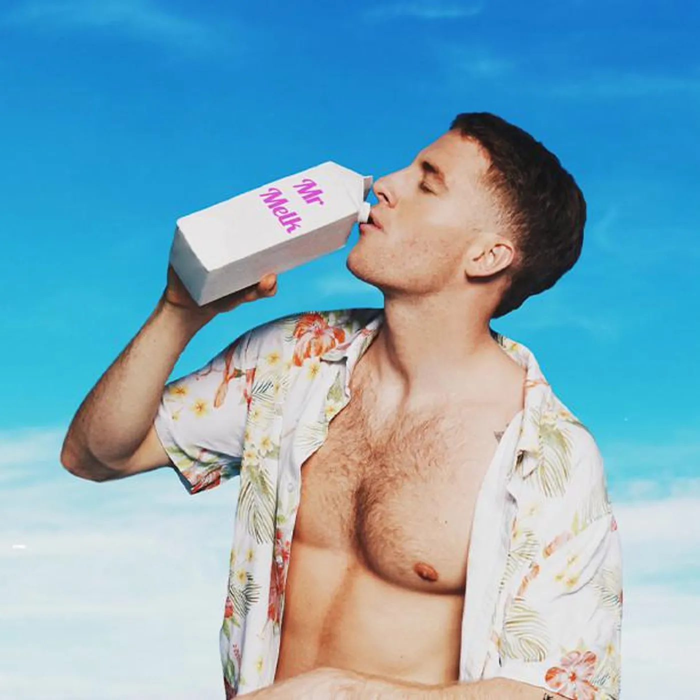 Mr Melk