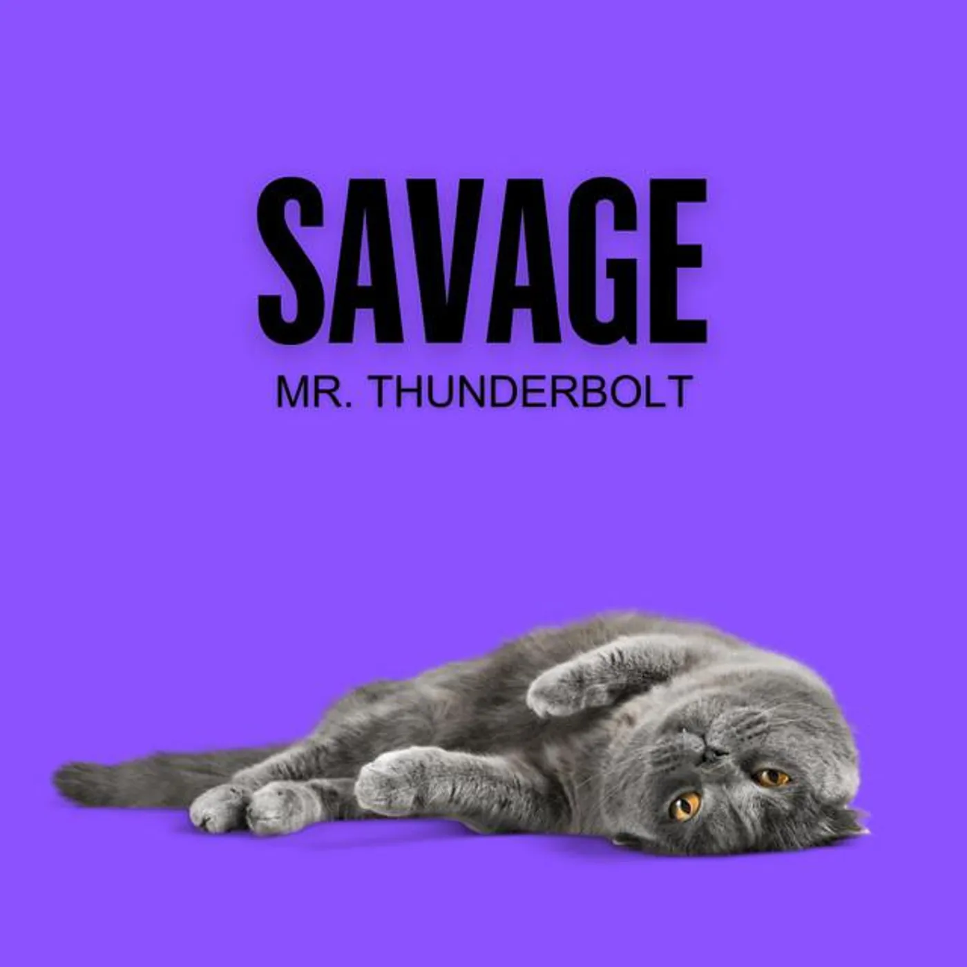 Mr. Thunderbolt