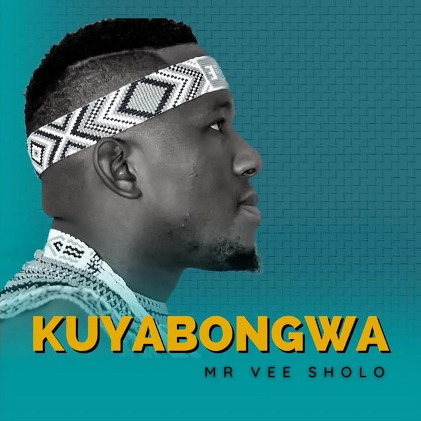 Mr Vee Sholo