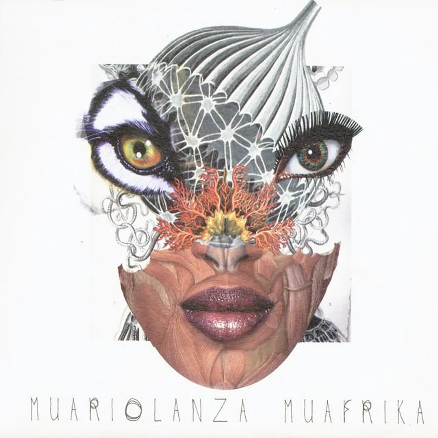 Muariolanza Brand Page
