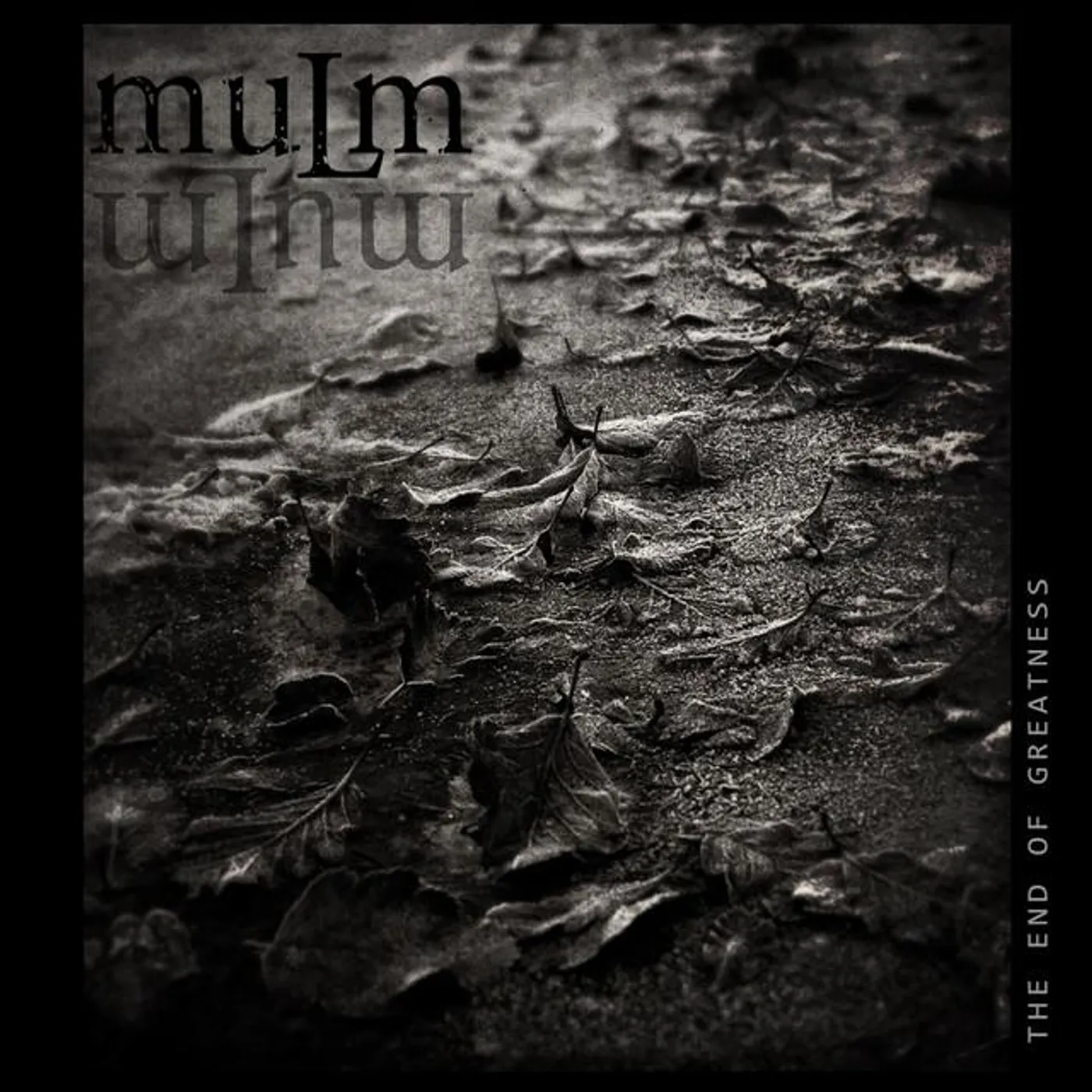 Mulm