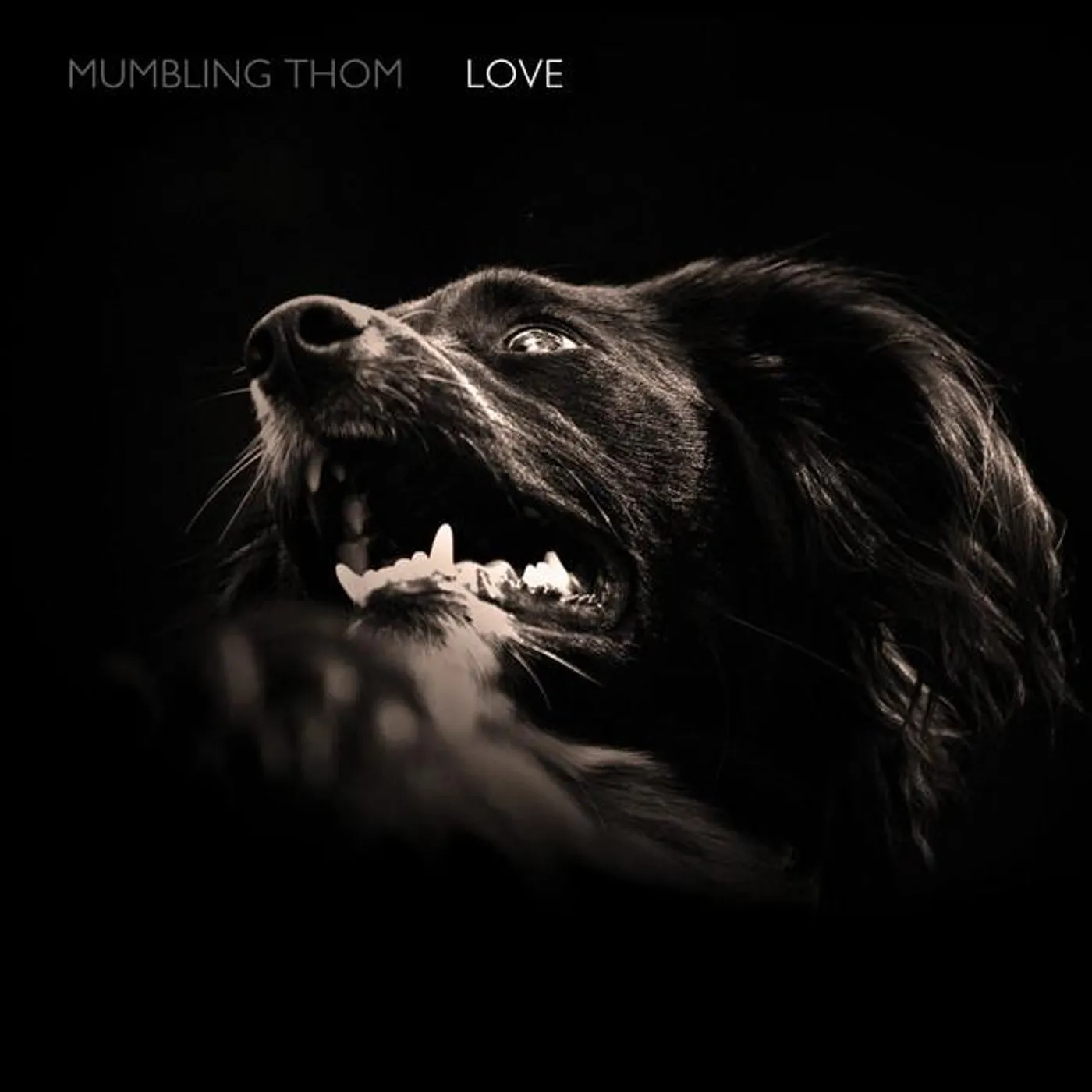 Mumbling Thom
