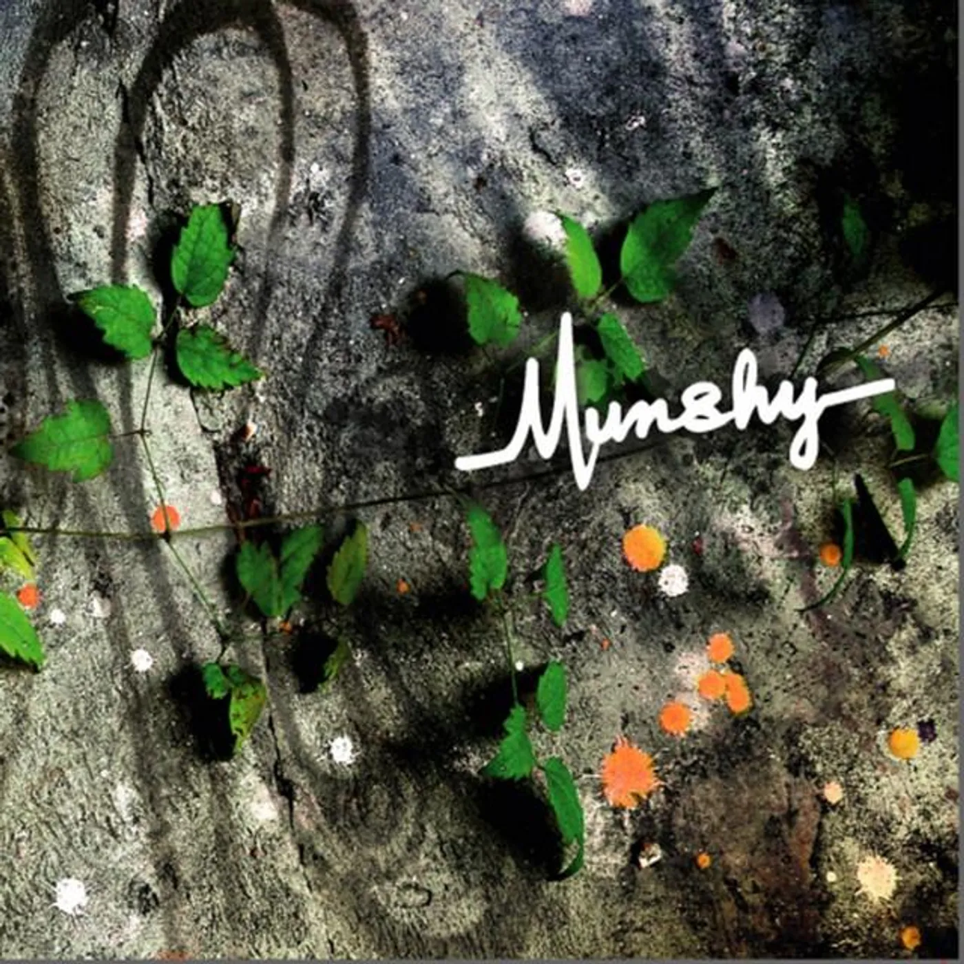 Munshy
