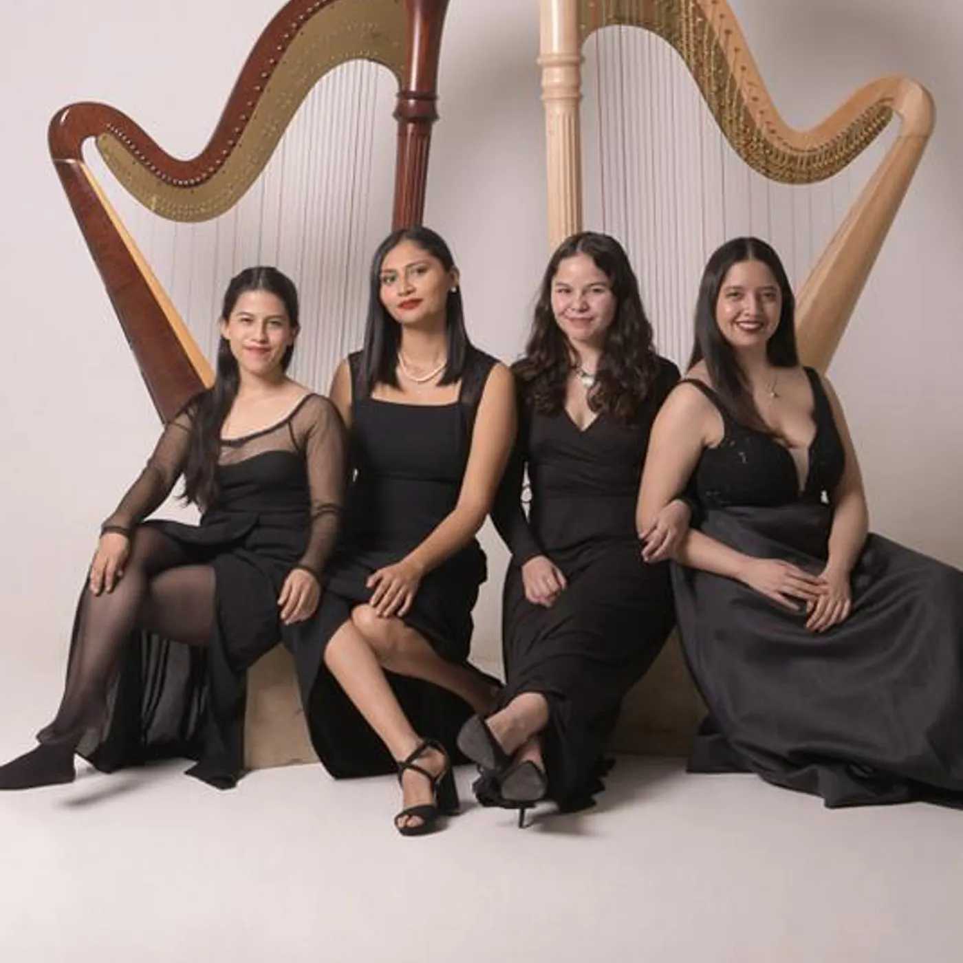 Musas Ensamble de Arpas Brand Page