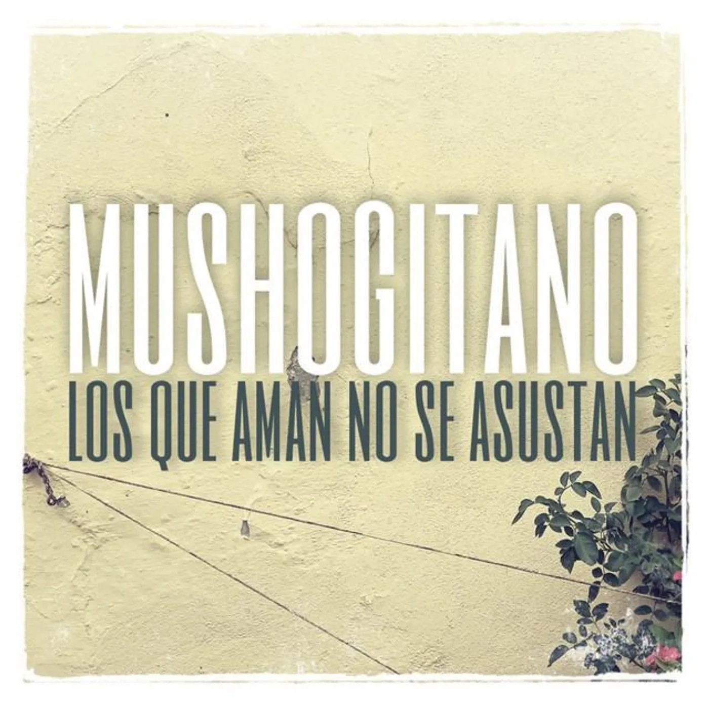 Mushogitano
