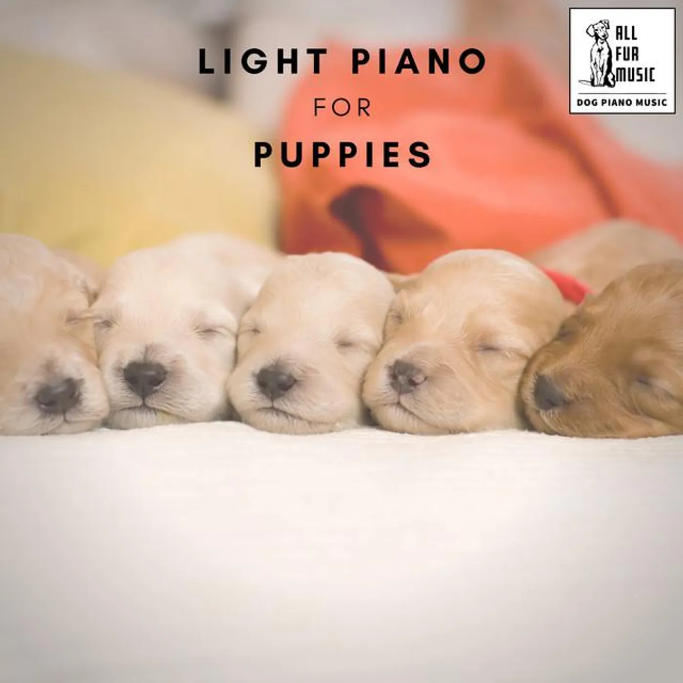 Music For Cats To Sleep To