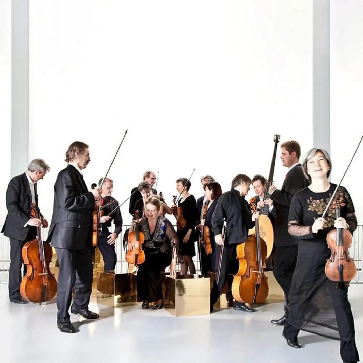 Musica Amphion Brand Page