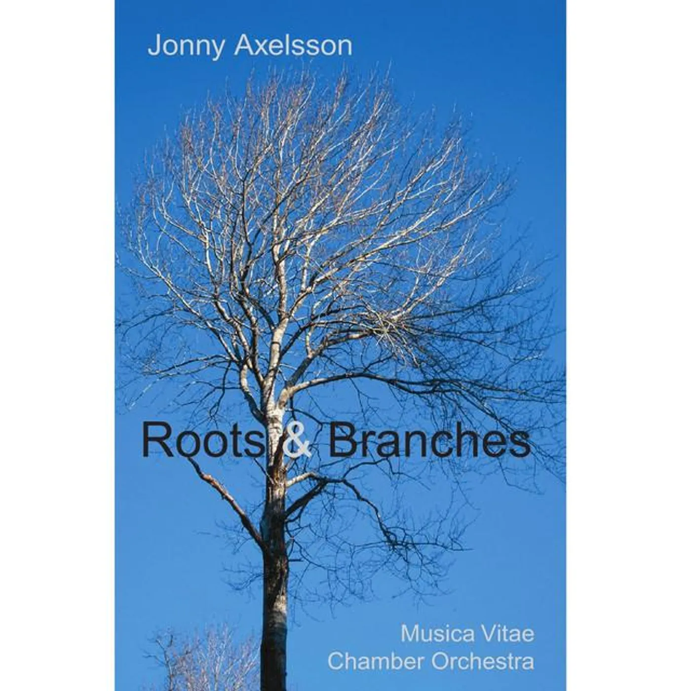 Musica Vitae Chamber Orchestra Brand Page