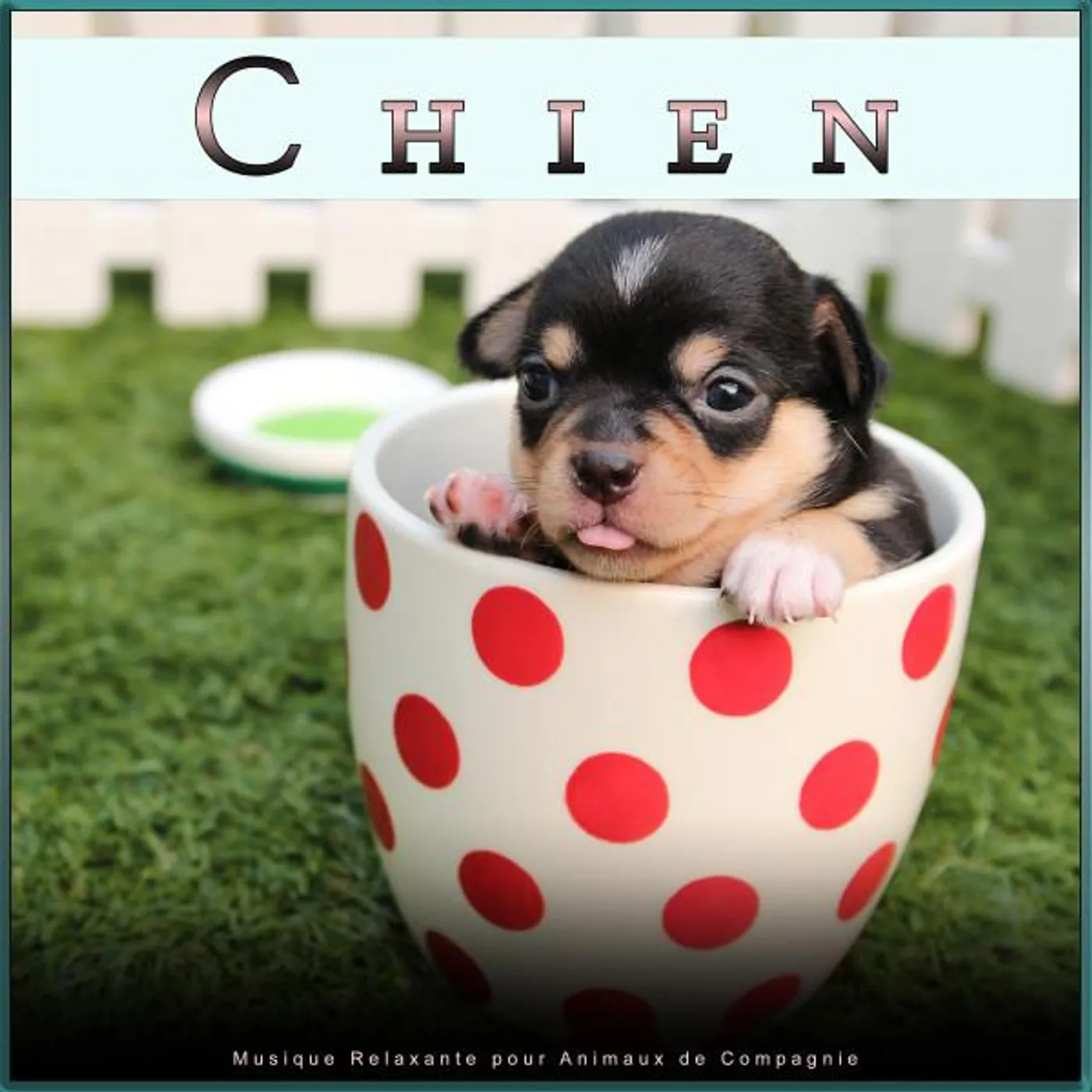 Musique D'ambiance Pour Les Chiens