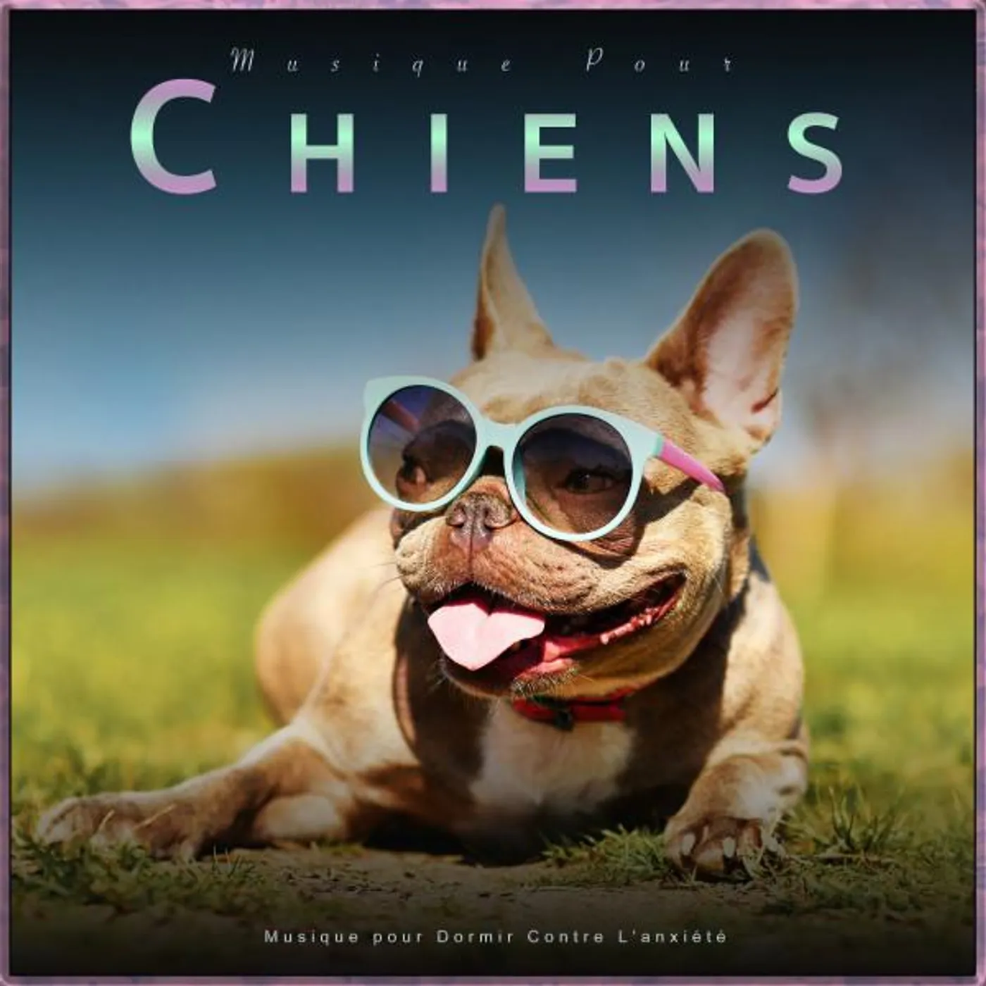 Musique D'Endormissement Pour Chiens Brand Page