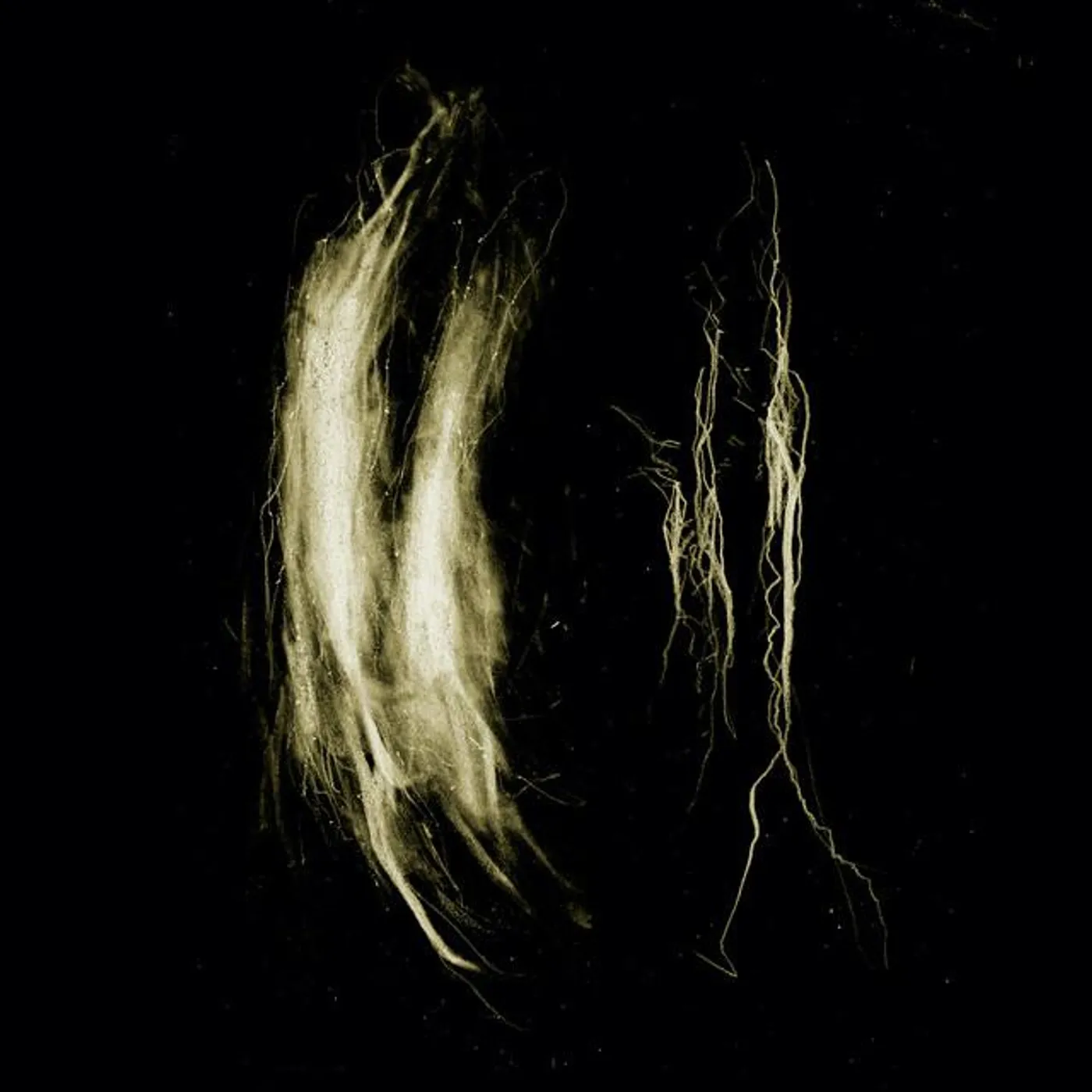 My Heart, an Inverted Flame