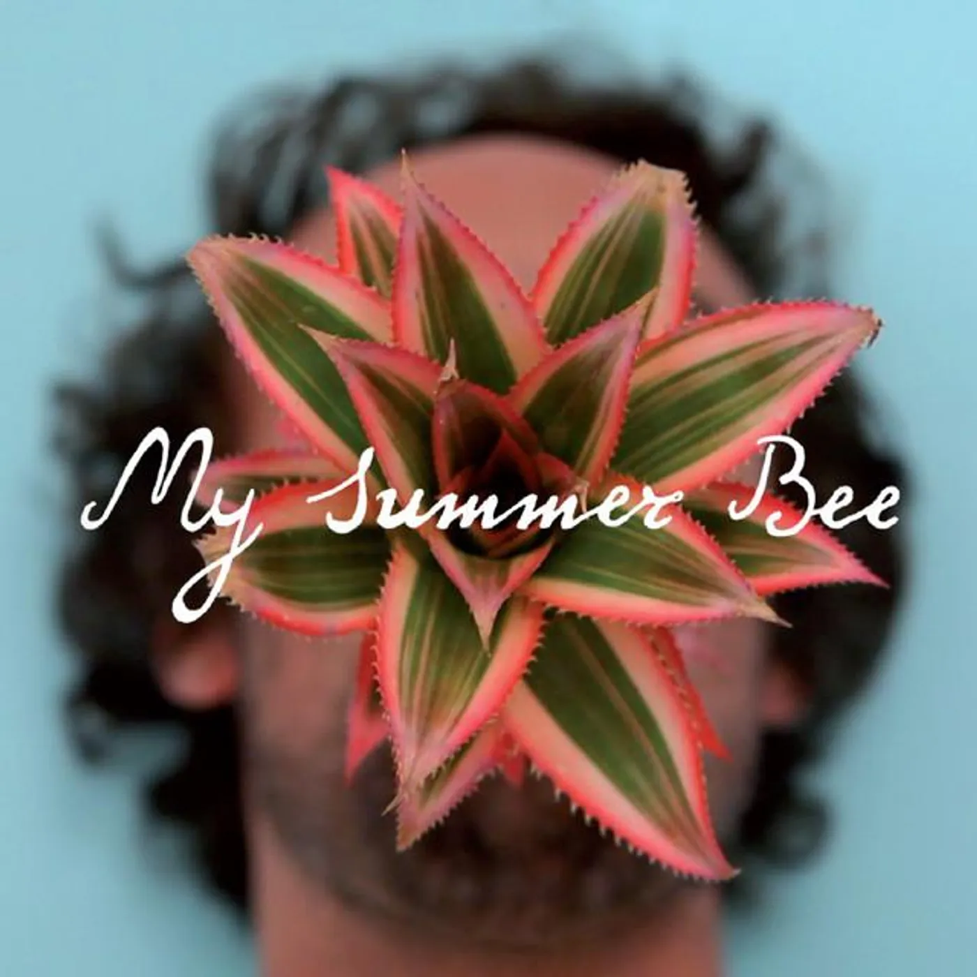 My Summer Bee Brand Page