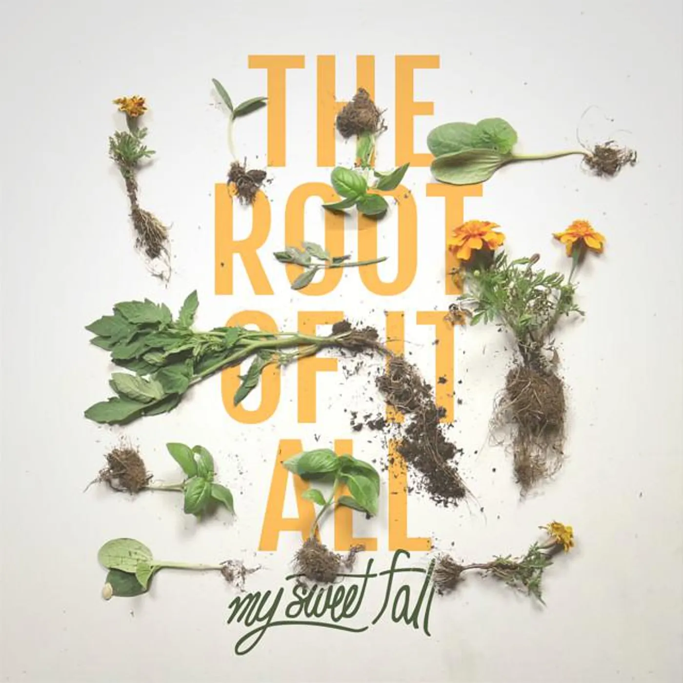 My Sweet Fall Brand Page