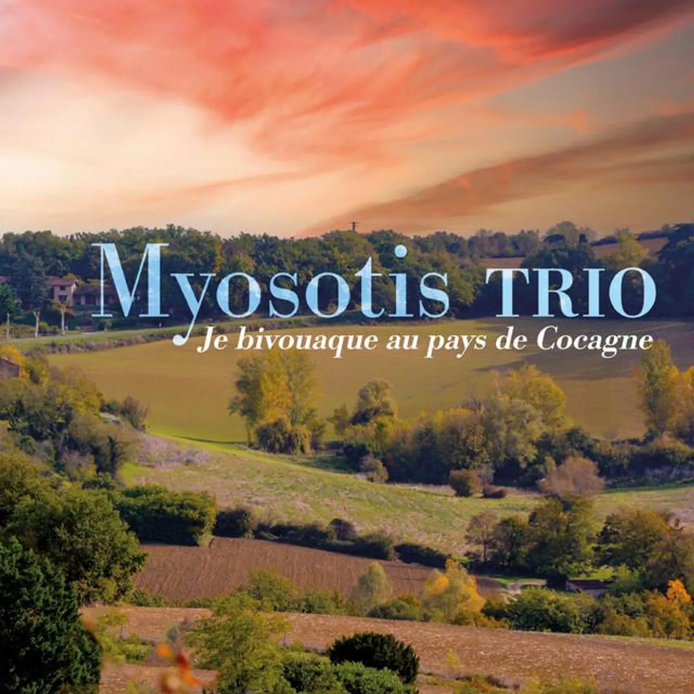 Myosotis Trio