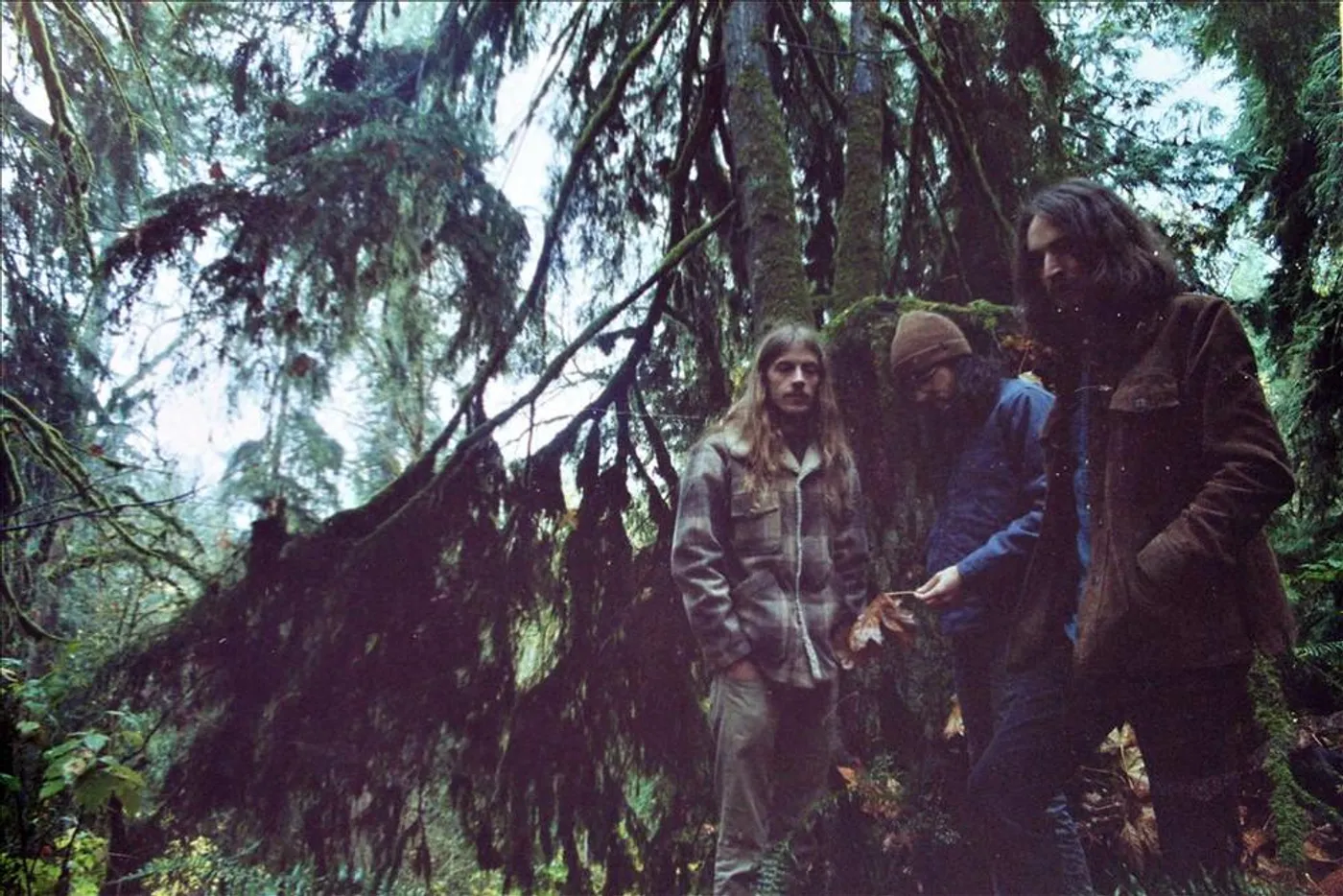 The Myrrors