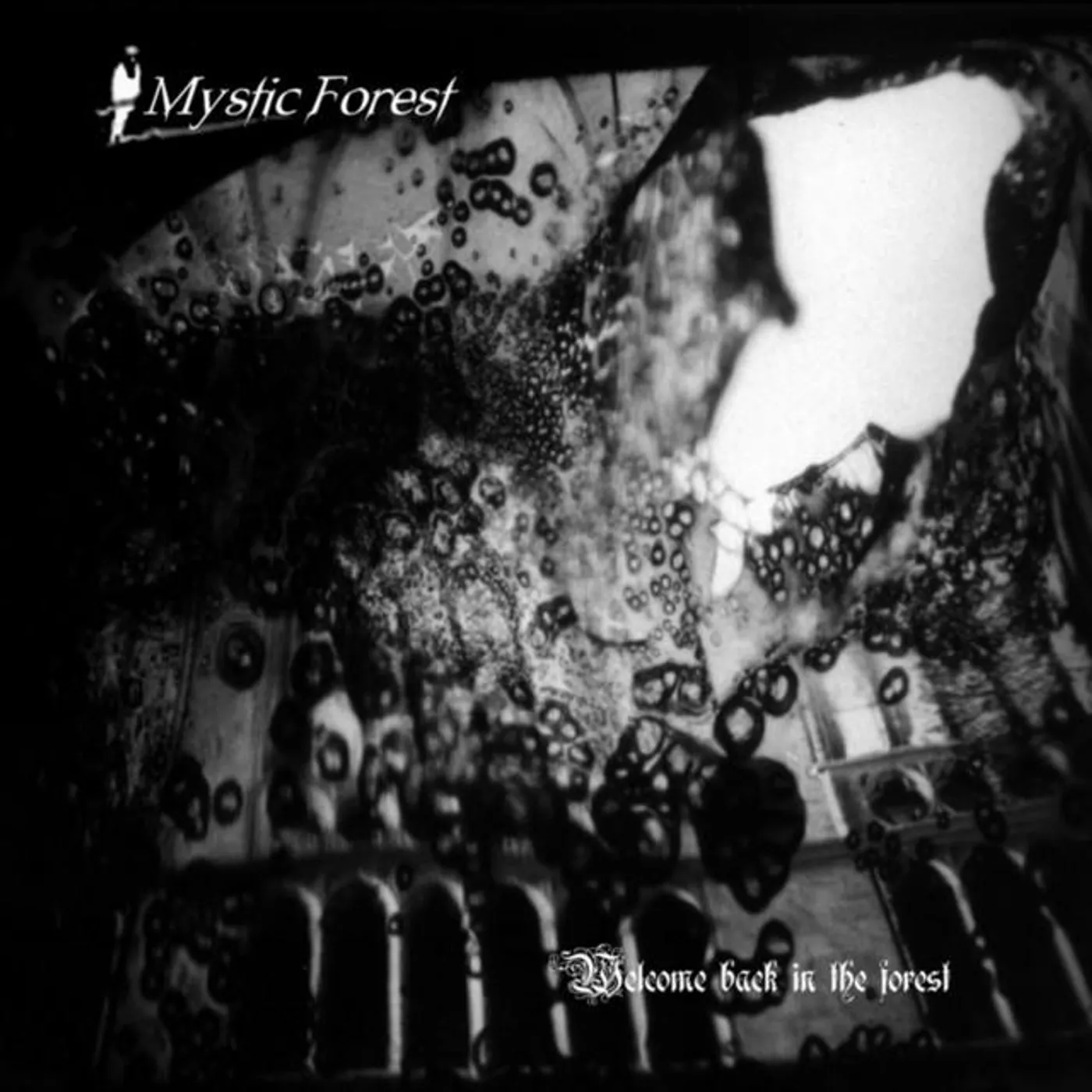 Mystic Forest