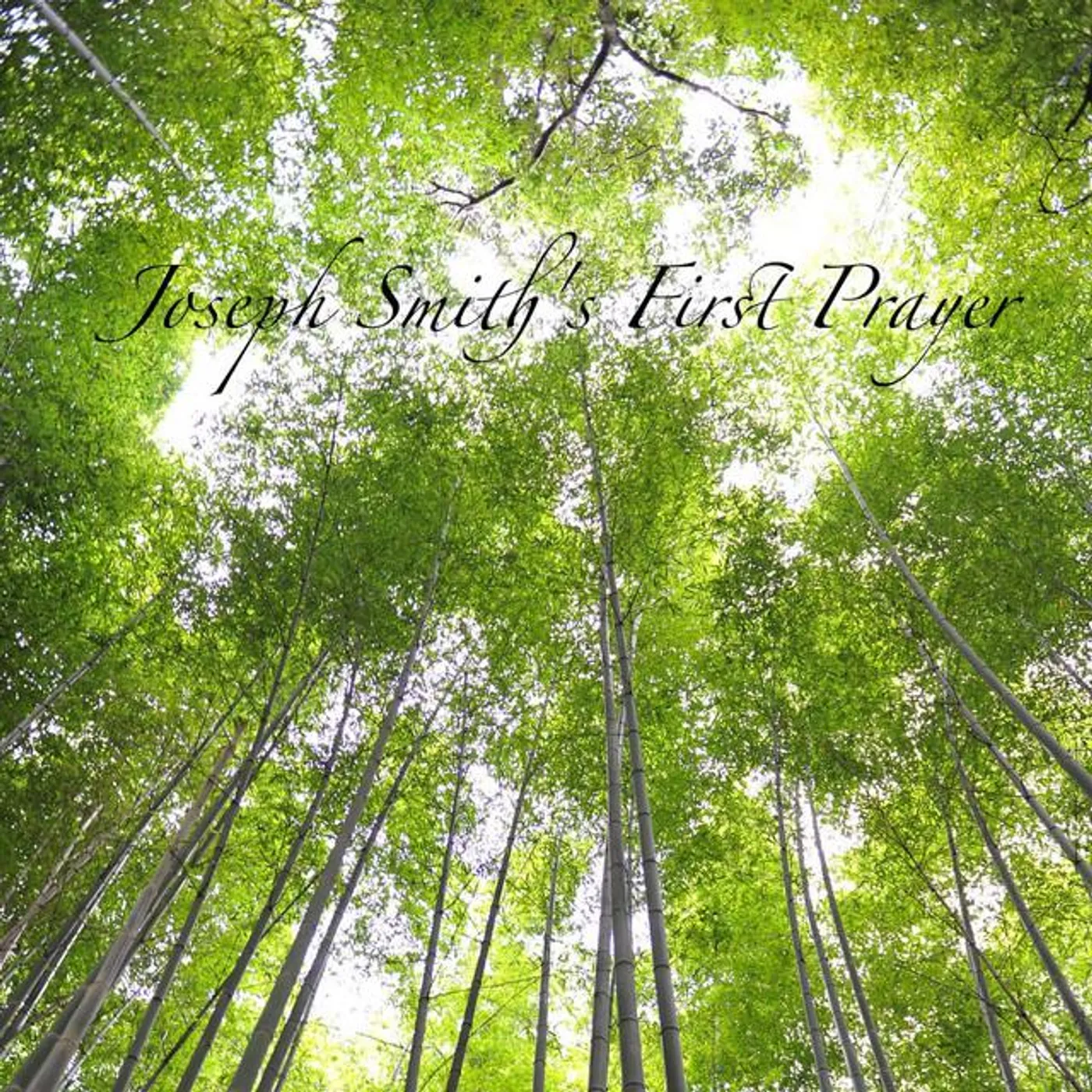 N. Anderson Scully Brand Page