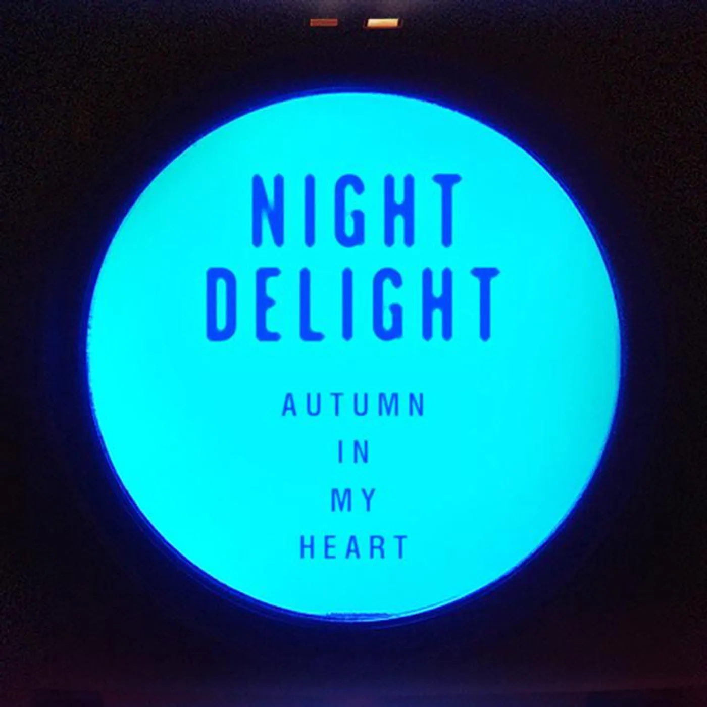 N.D. (Night Delight)
