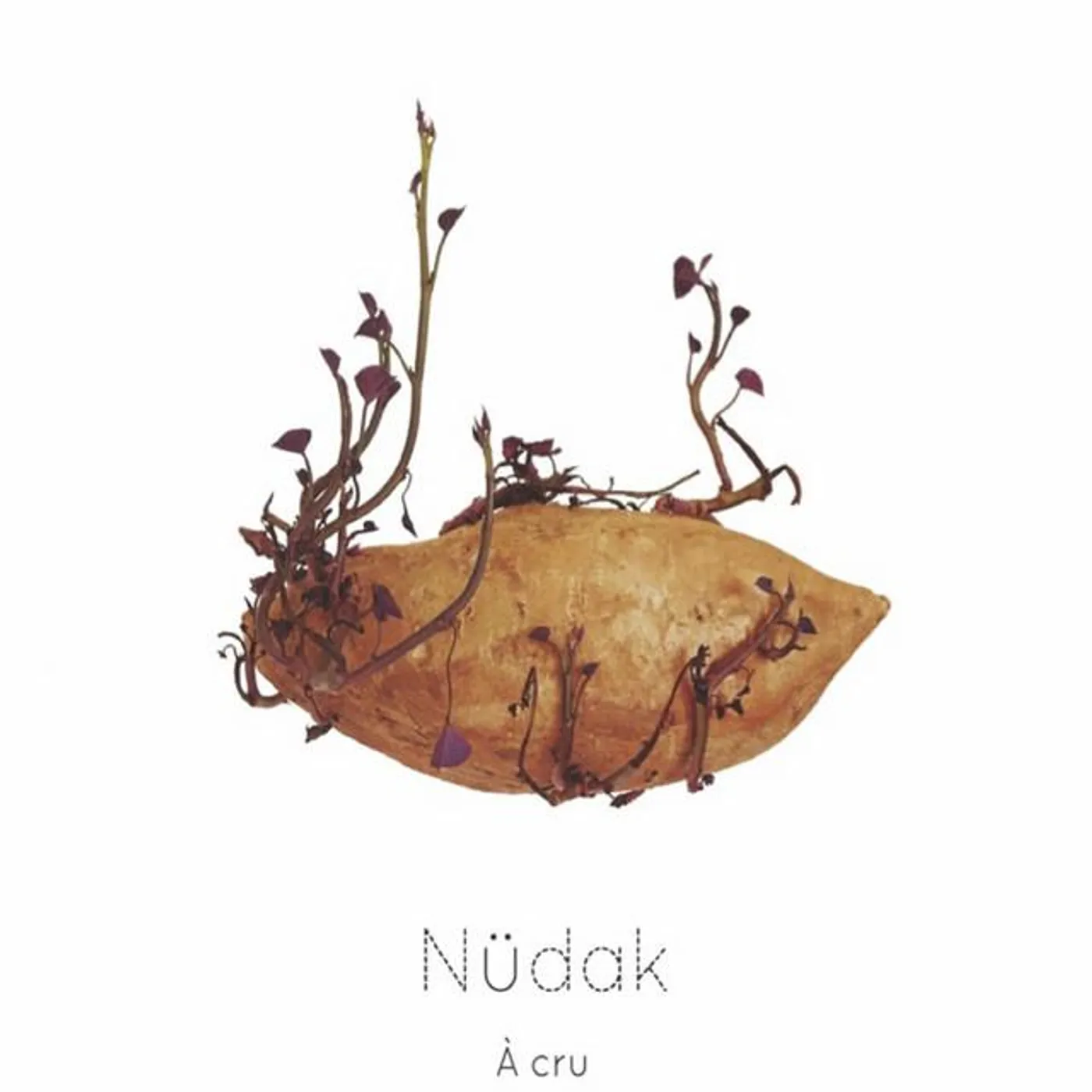 Nüdak