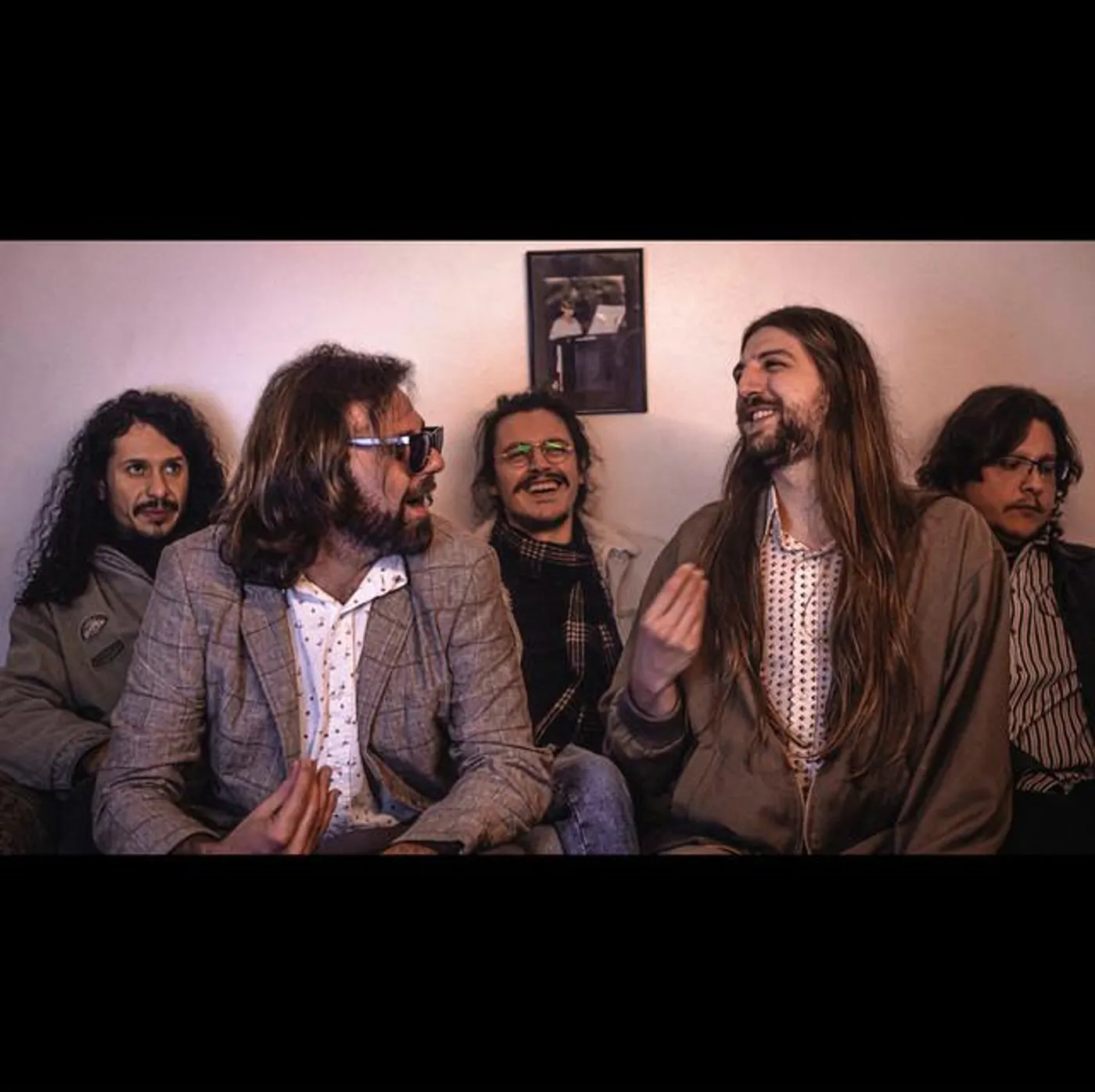 Não Alimente os Animais