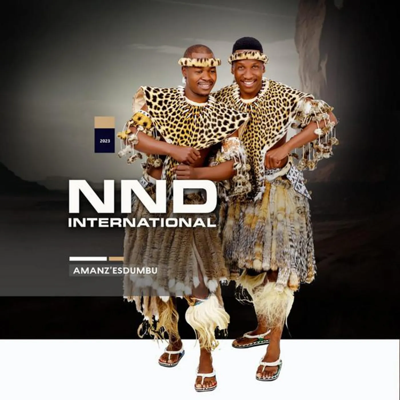 NND International