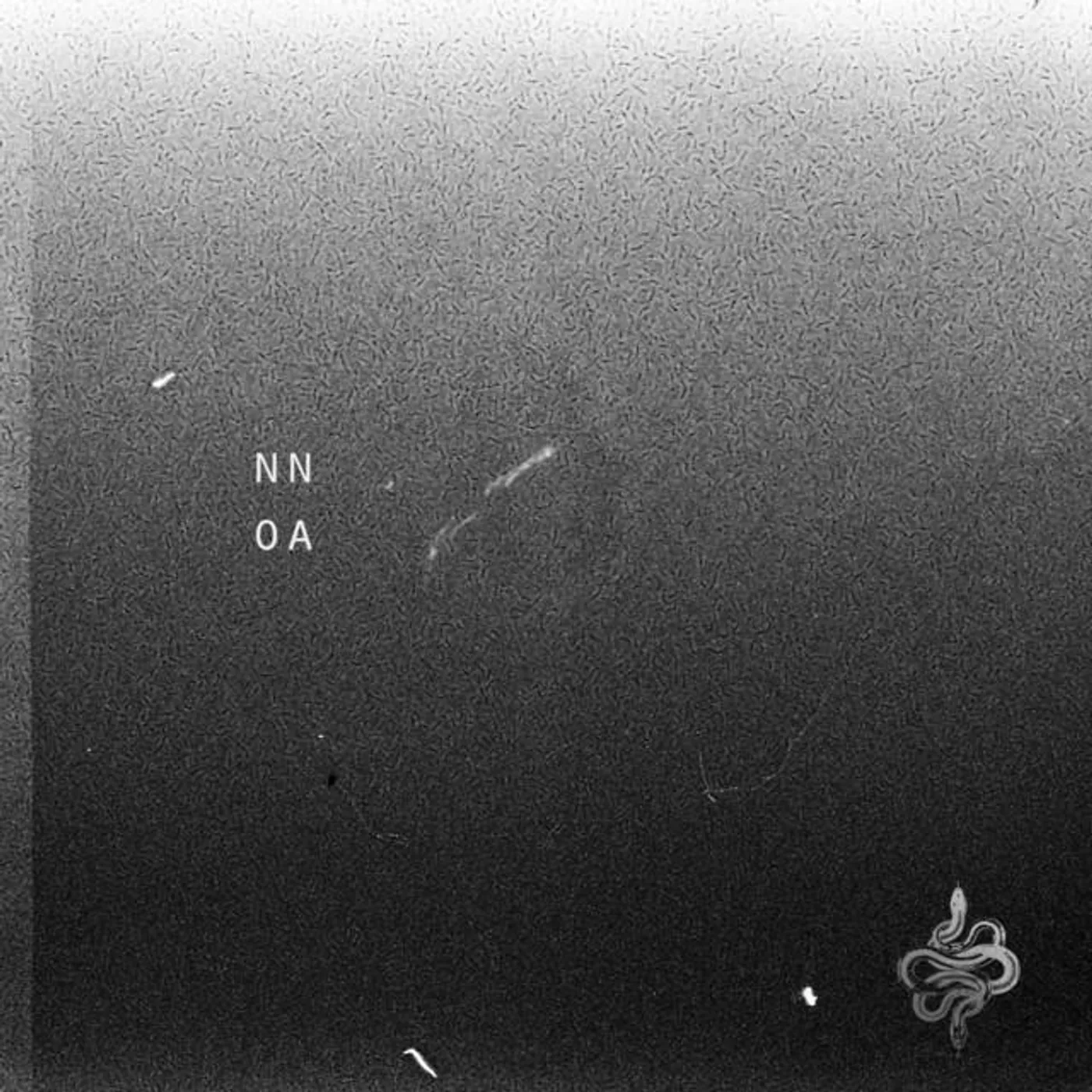 NNOA
