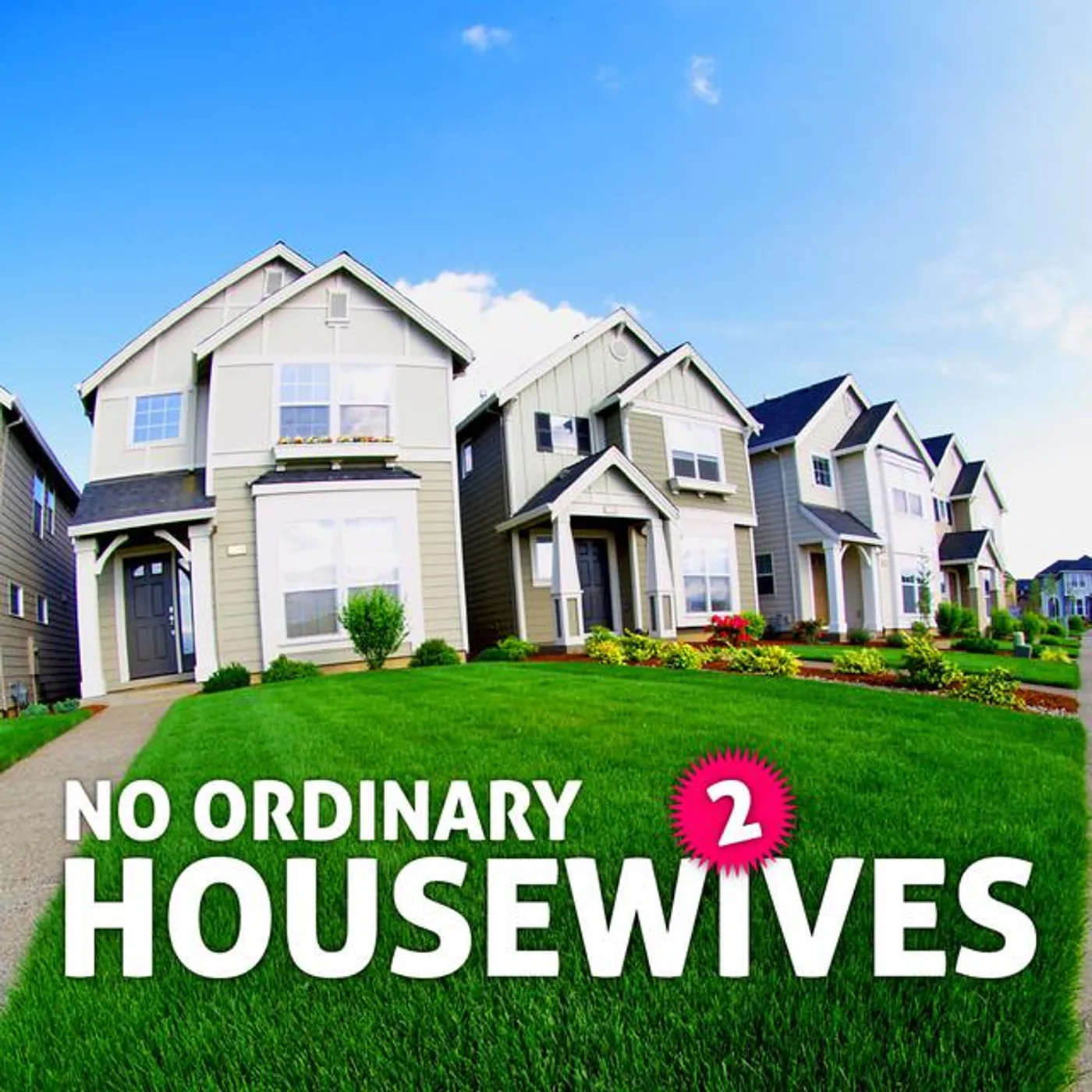 No Ordinary Housewives