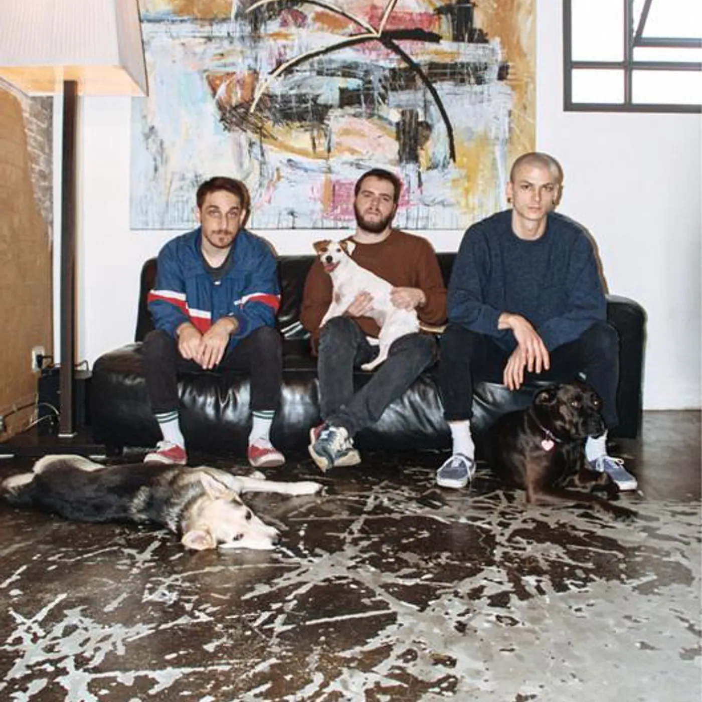 No Point Baby Brand Page