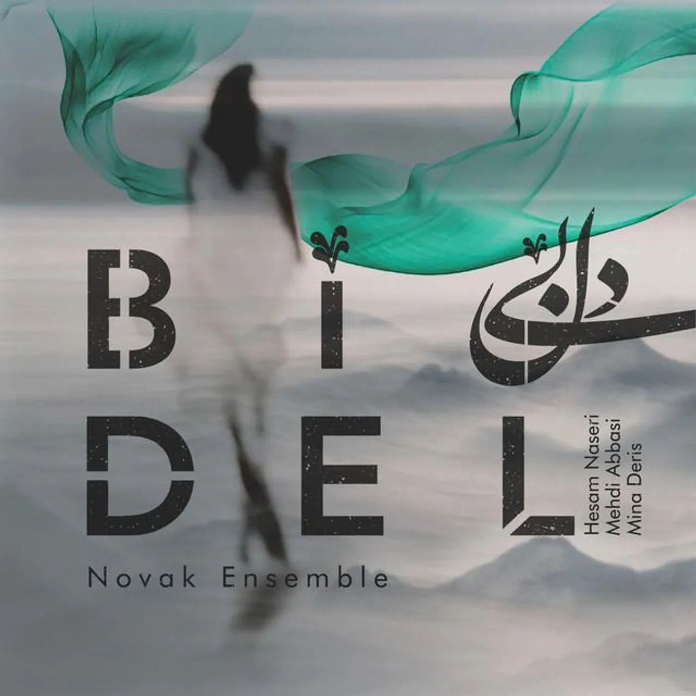 Novak Ensemble Brand Page