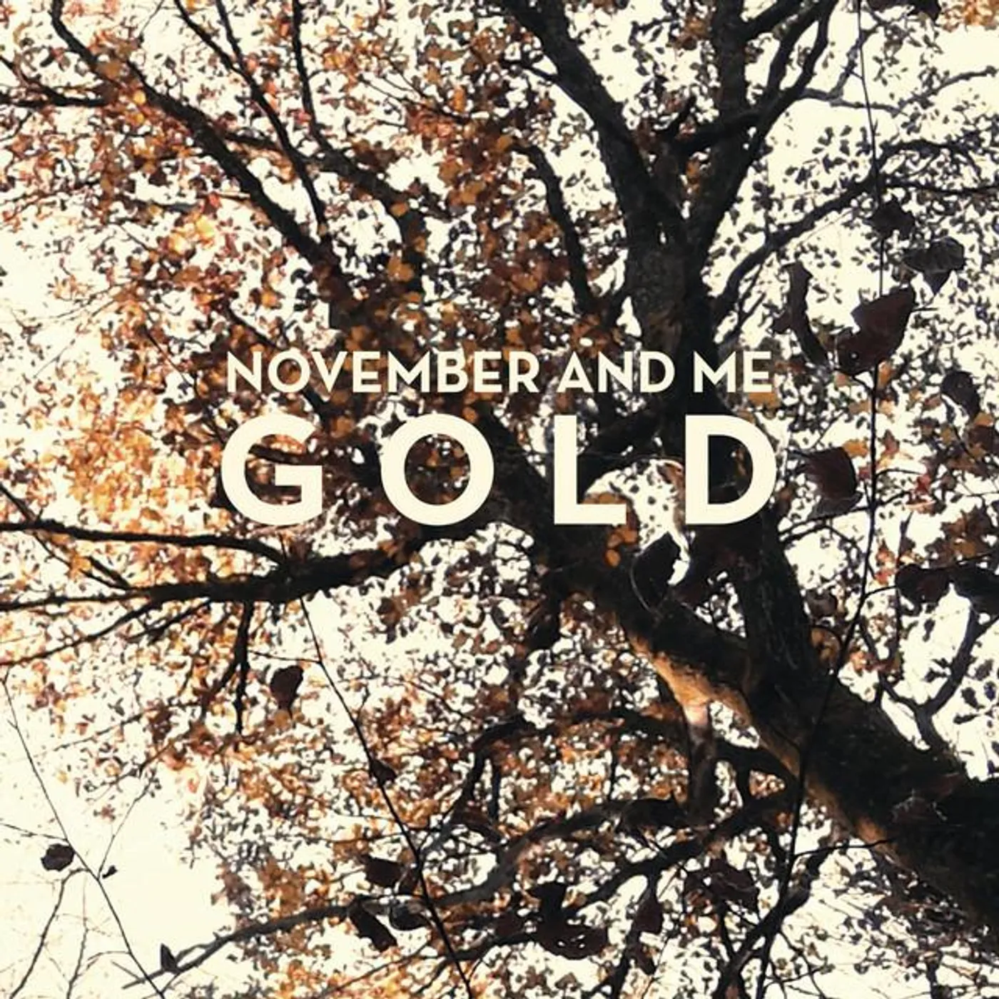 November And Me Brand Page