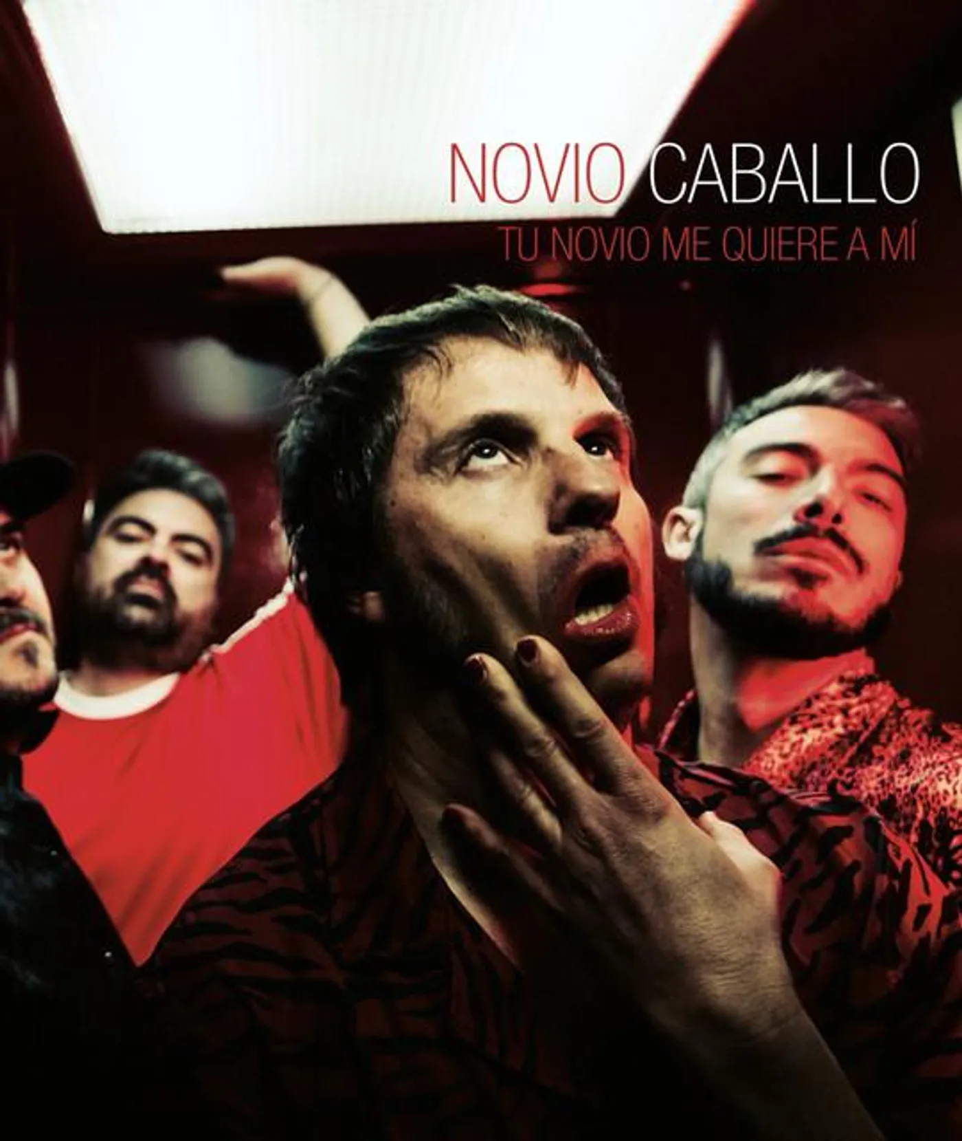 Novio Caballo