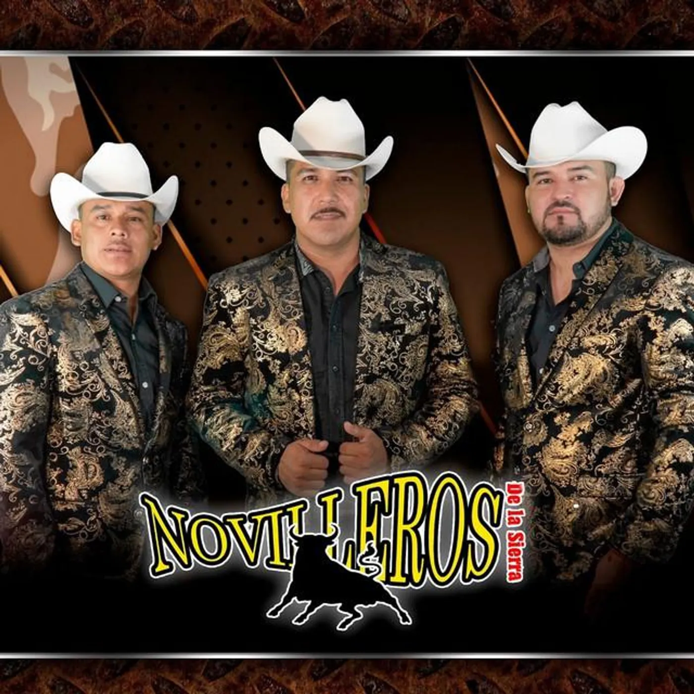 Novilleros de la Sierra