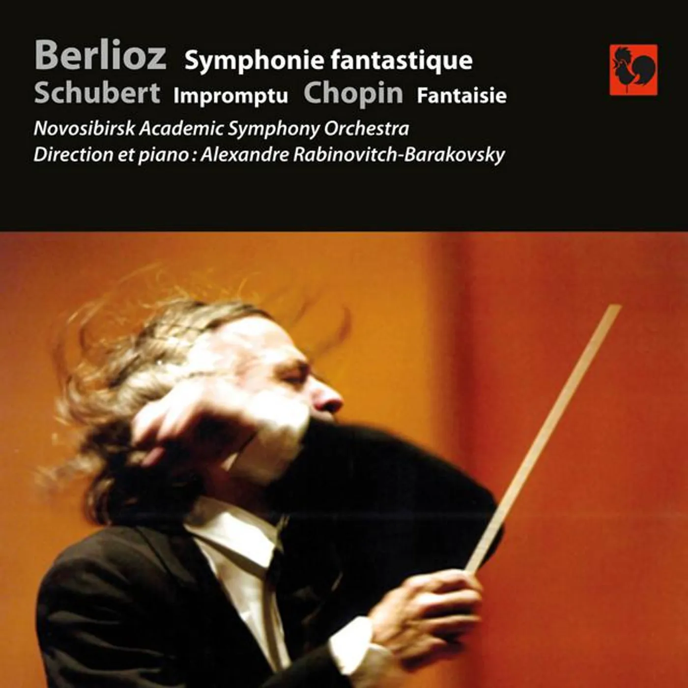 Novosibirsk Academic Symphony Orchestra Brand Page