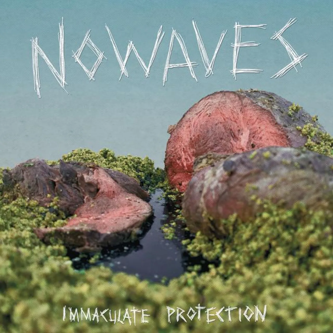Nowaves Brand Page