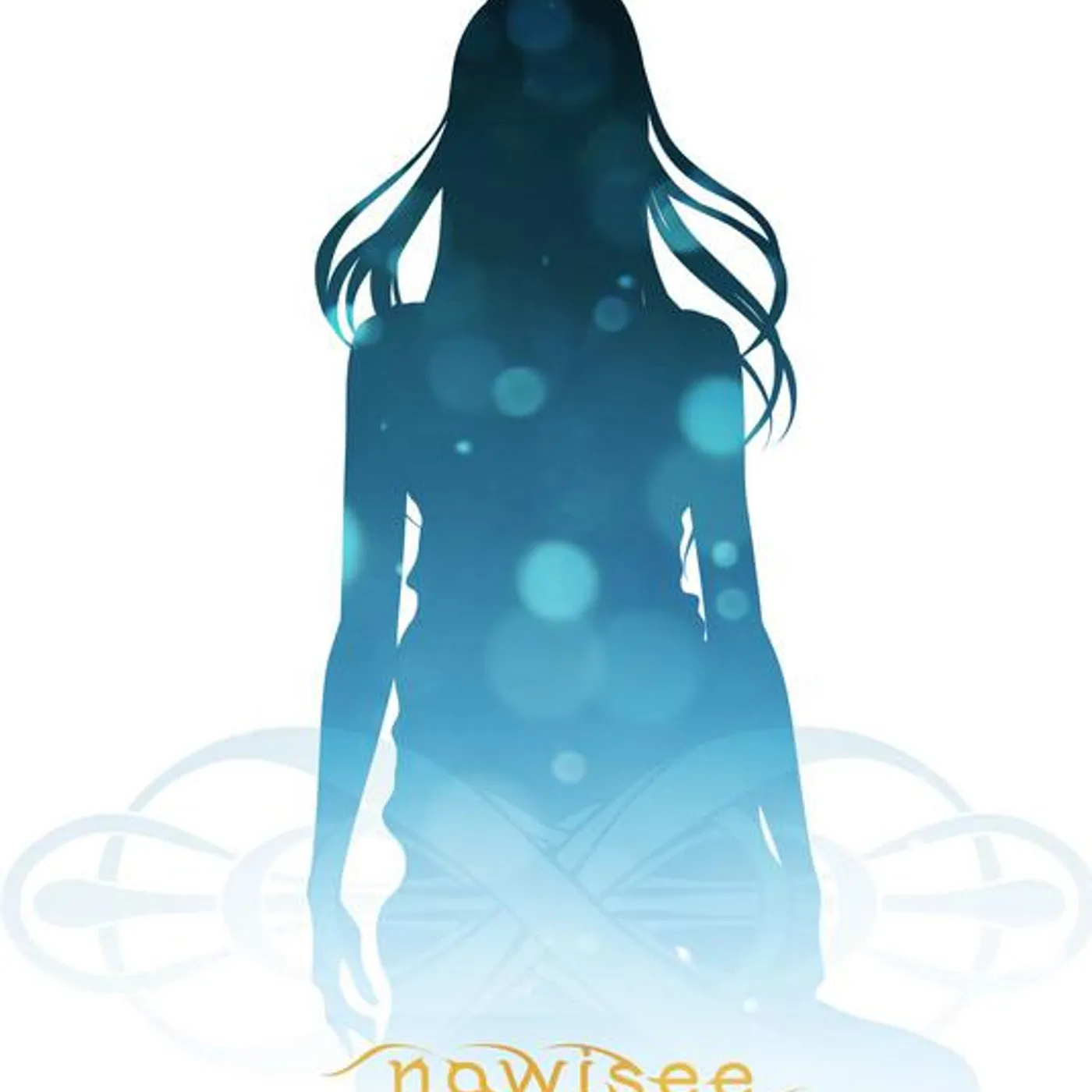nowisee