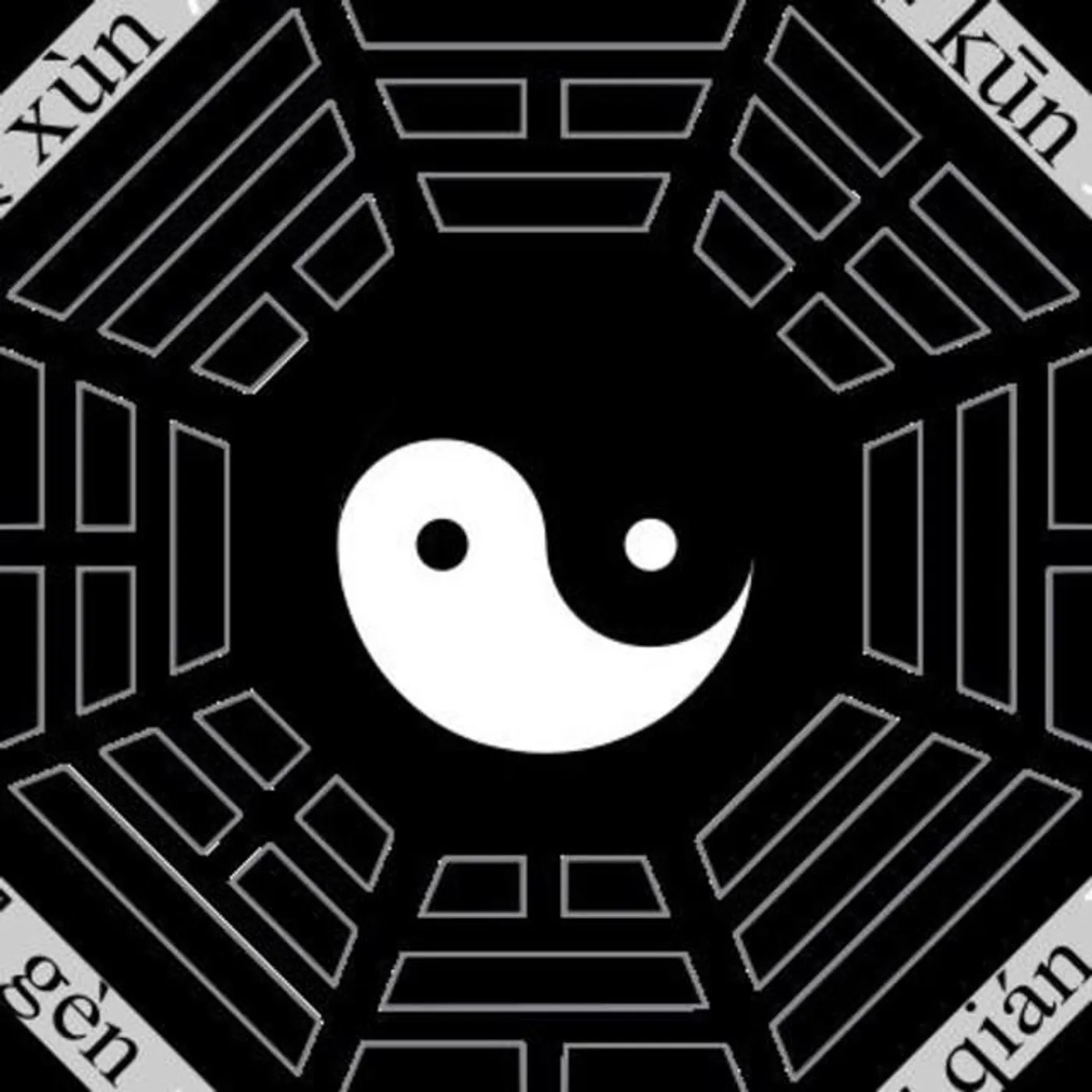 Noah Cohn Brand Page