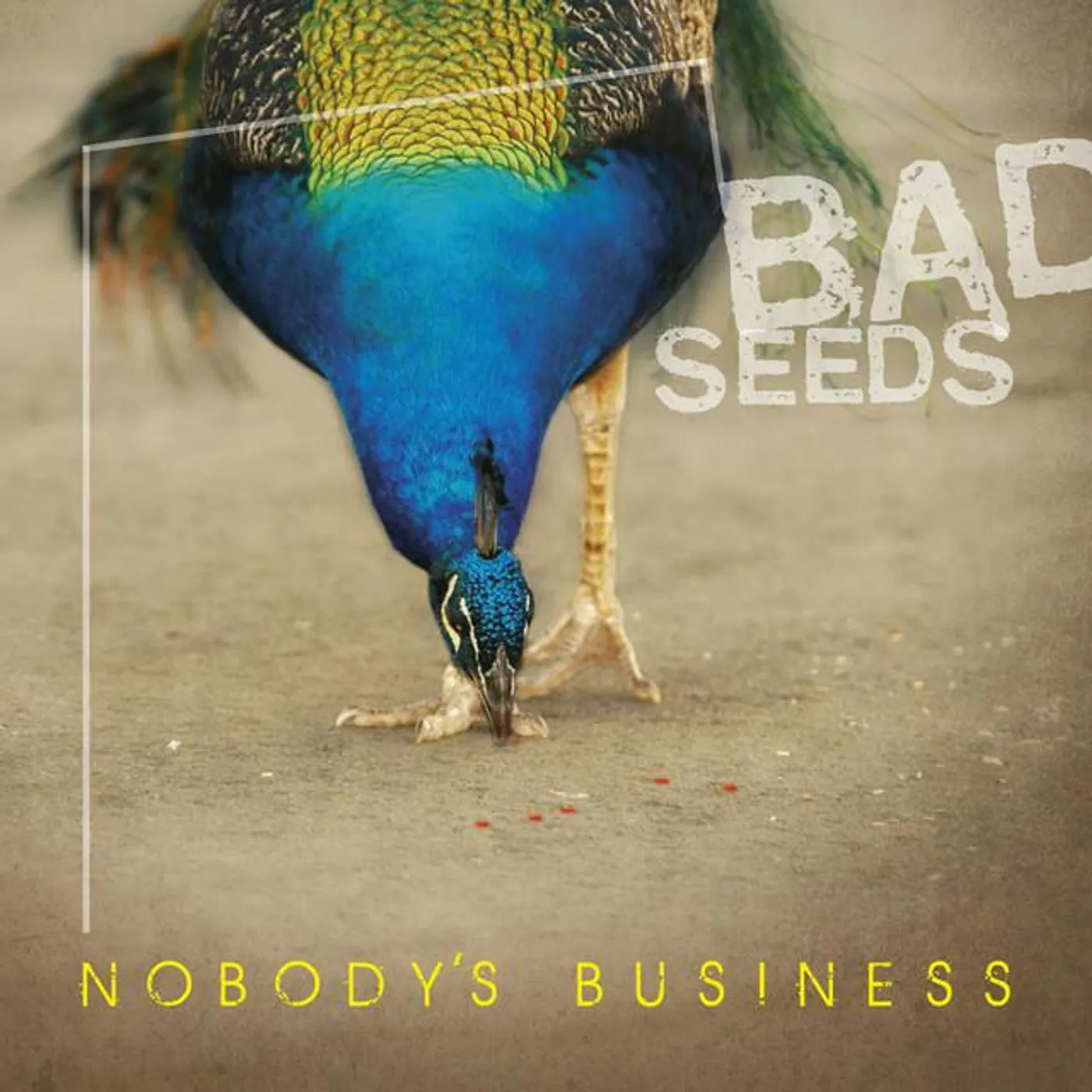 Nobody's Business