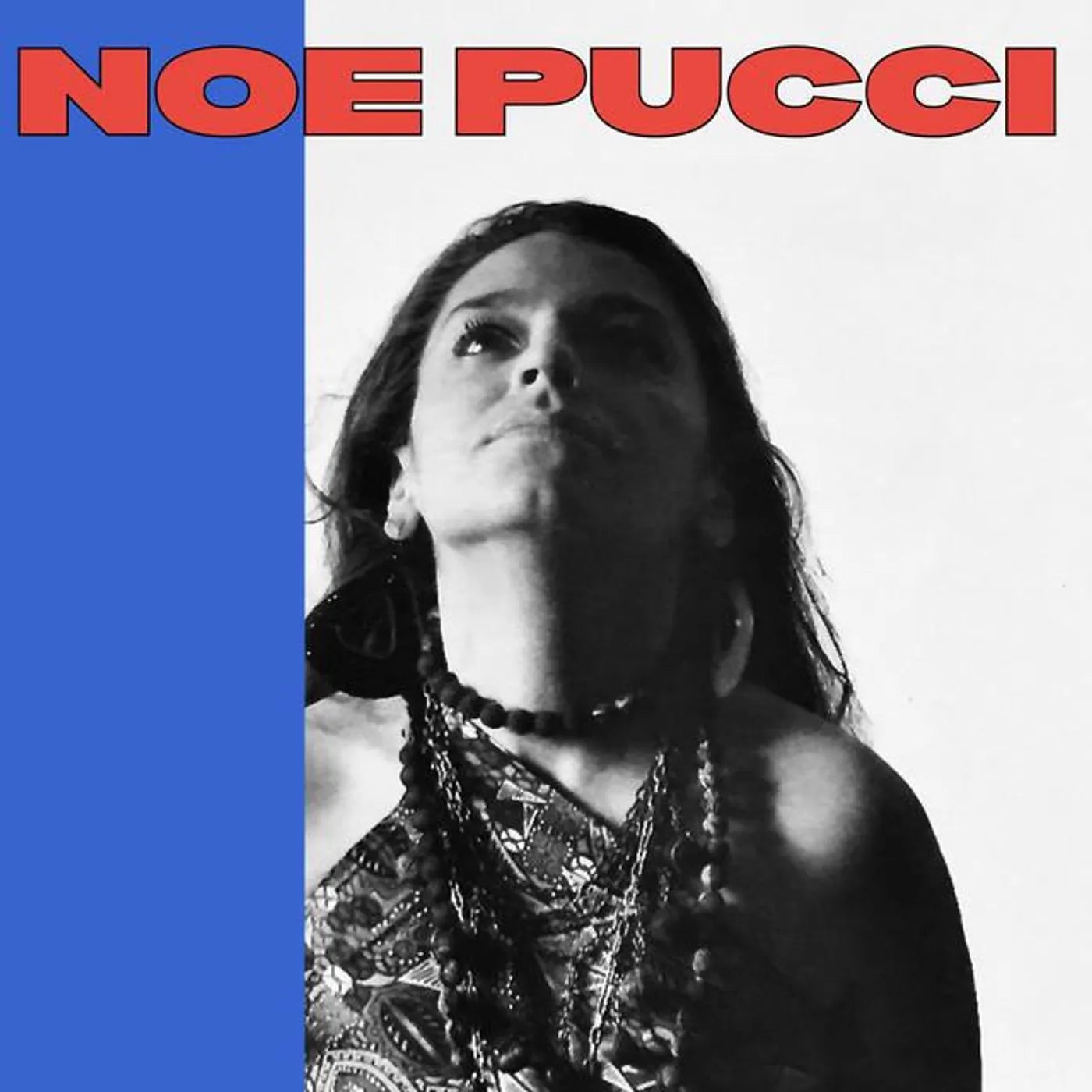 Noe Pucci