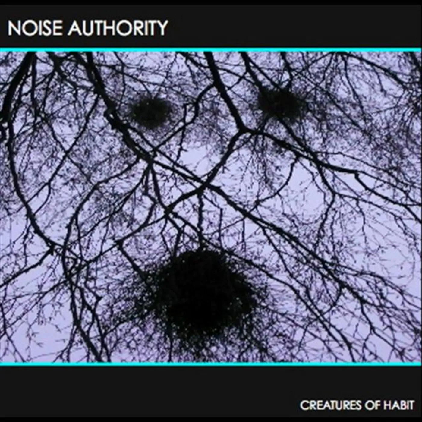 Noise Authority Brand Page