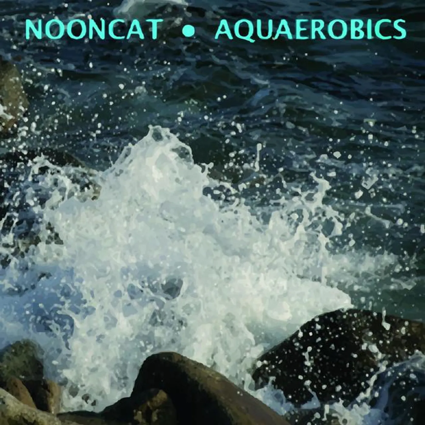 Nooncat