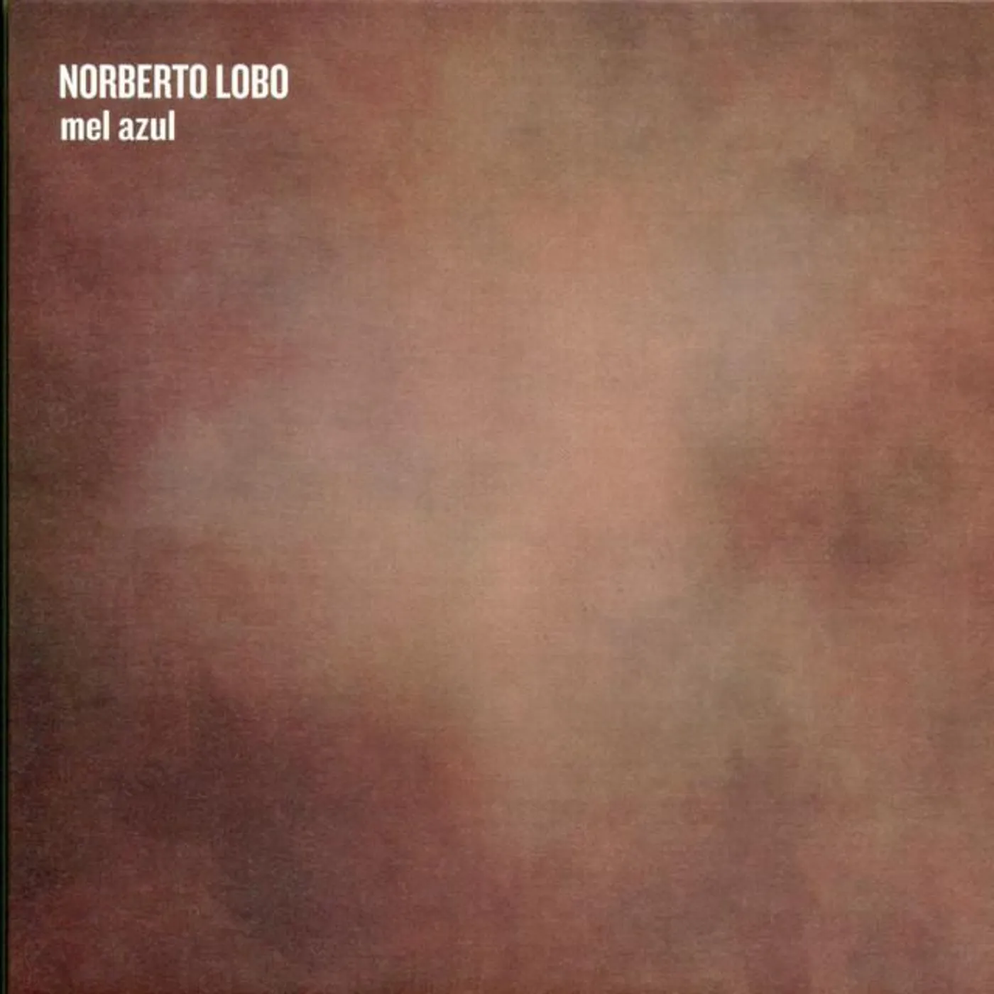 Norberto Lobo Brand Page