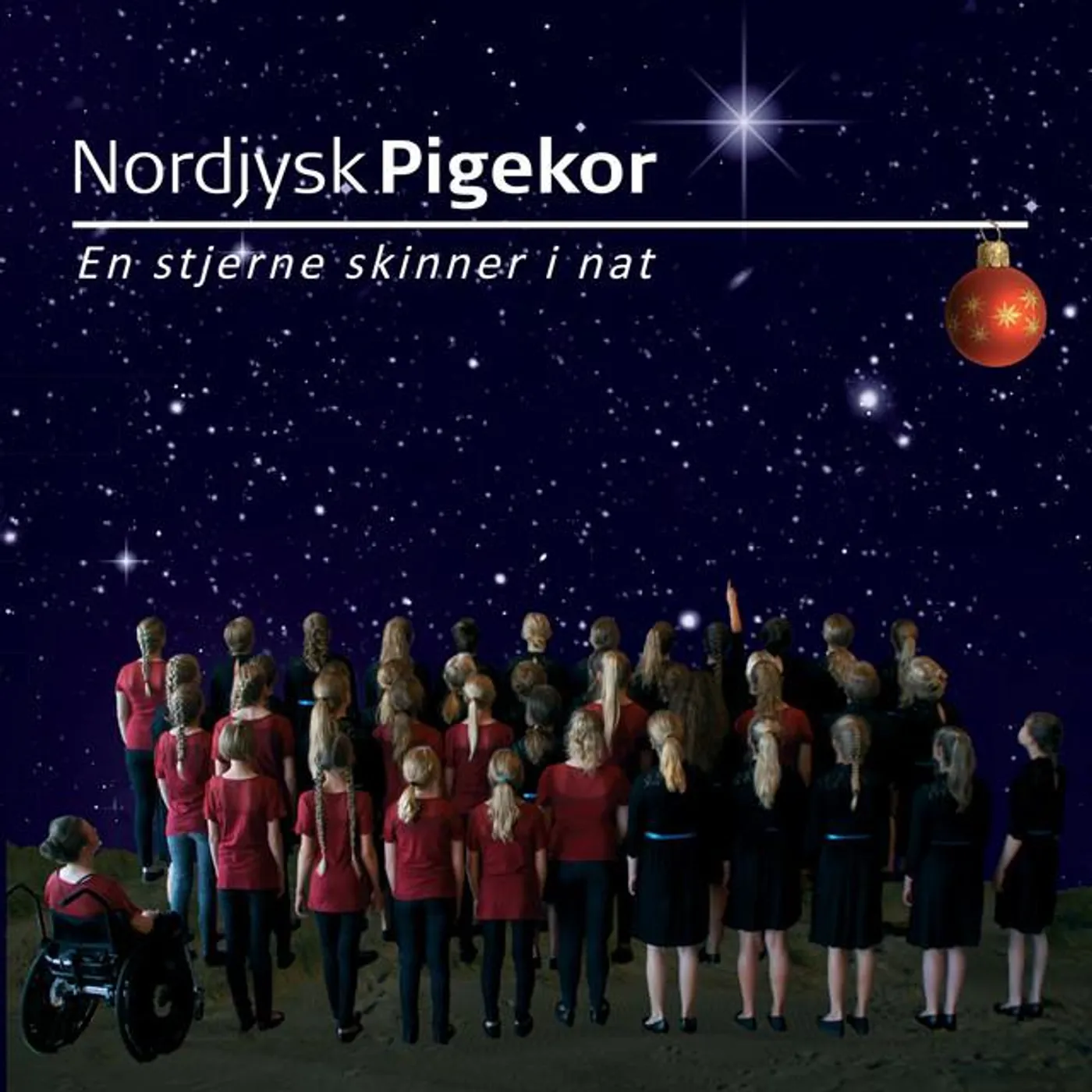 Nordjysk Pigekor Brand Page