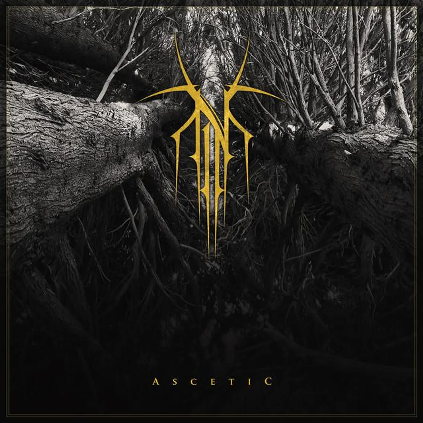 Norse