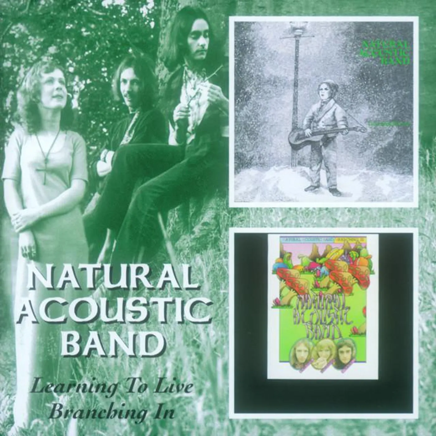 Natural Acoustic Band Brand Page