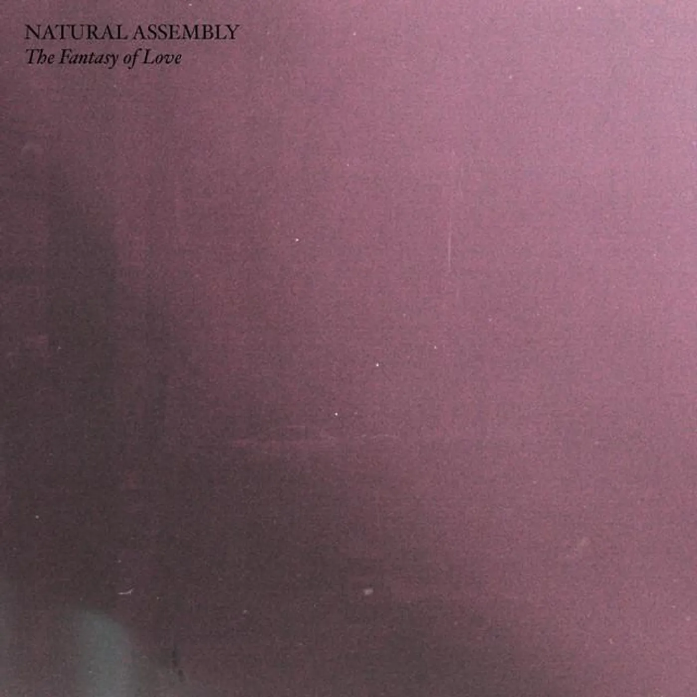 Natural Assembly Brand Page