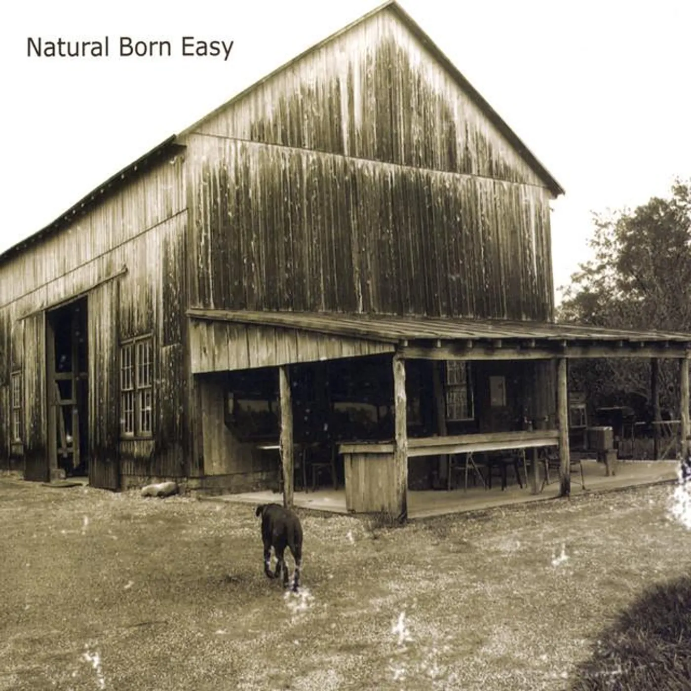 Natural Born Easy Brand Page