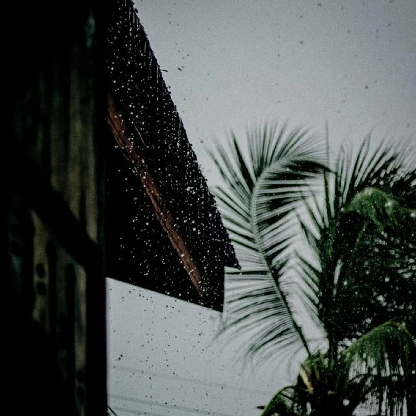 Natural Rain Brand Page