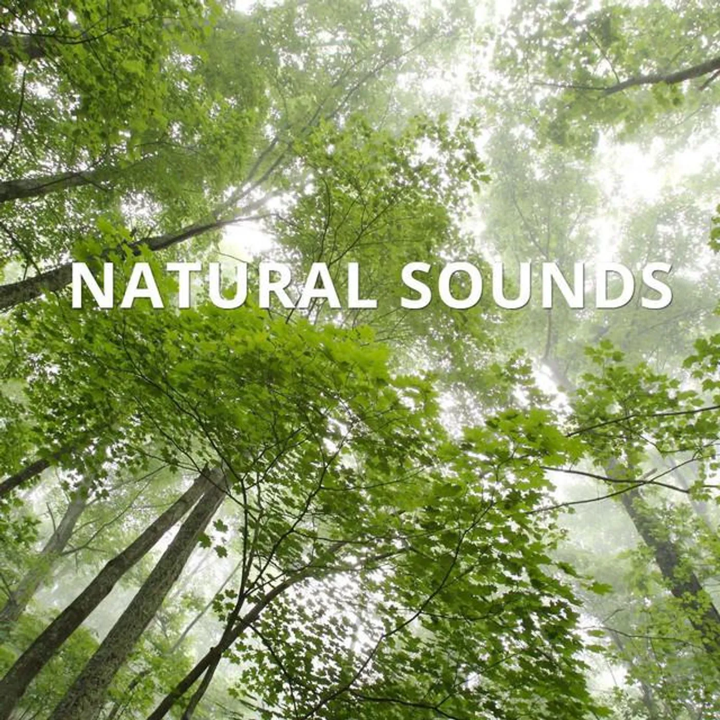 Natural Brand Page