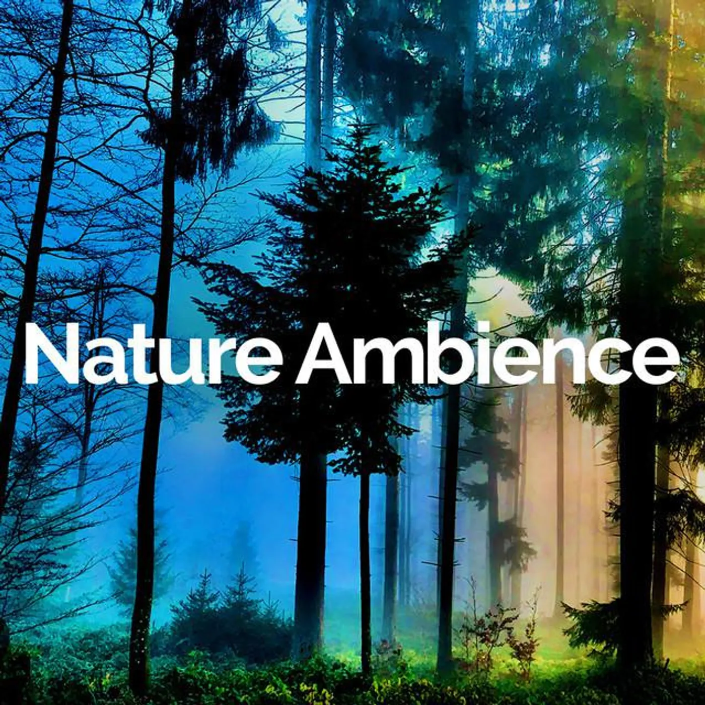 Nature Ambience