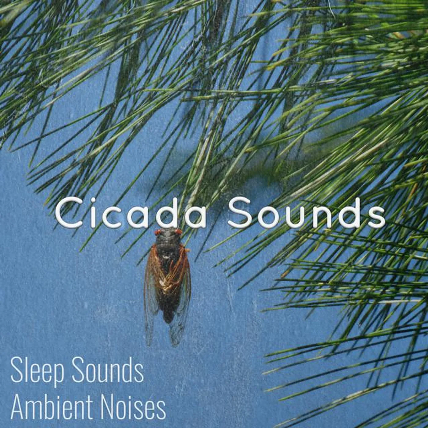 Nature's Music Brand Page